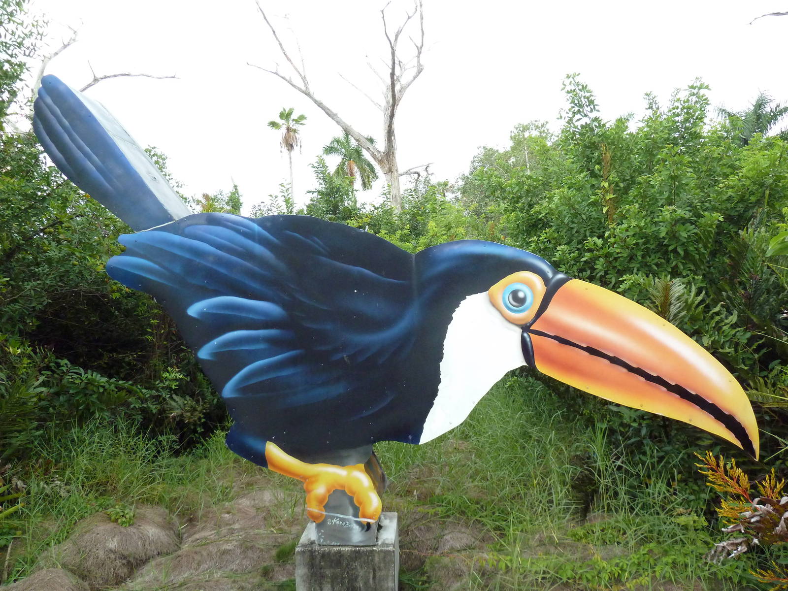 Toucan Sign