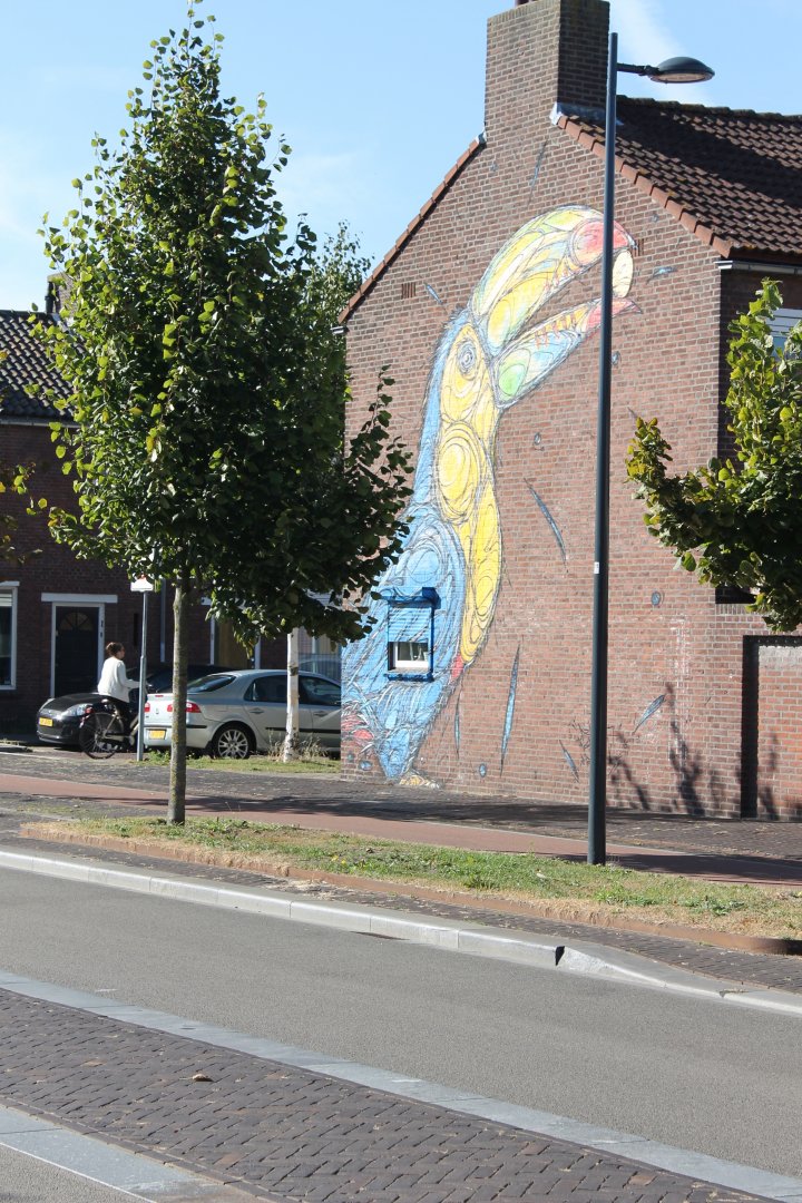 Toucan Wall-painting