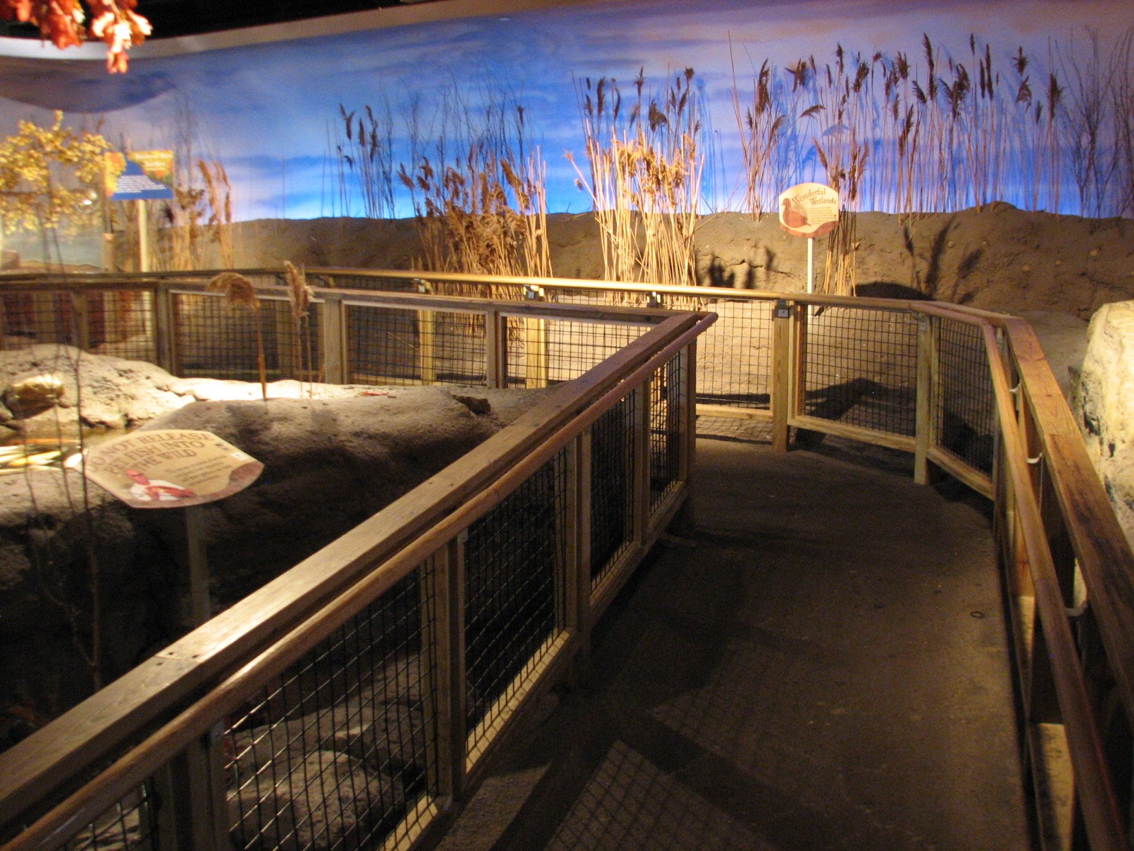 Touch of the Wild Woods - Exhibit Path