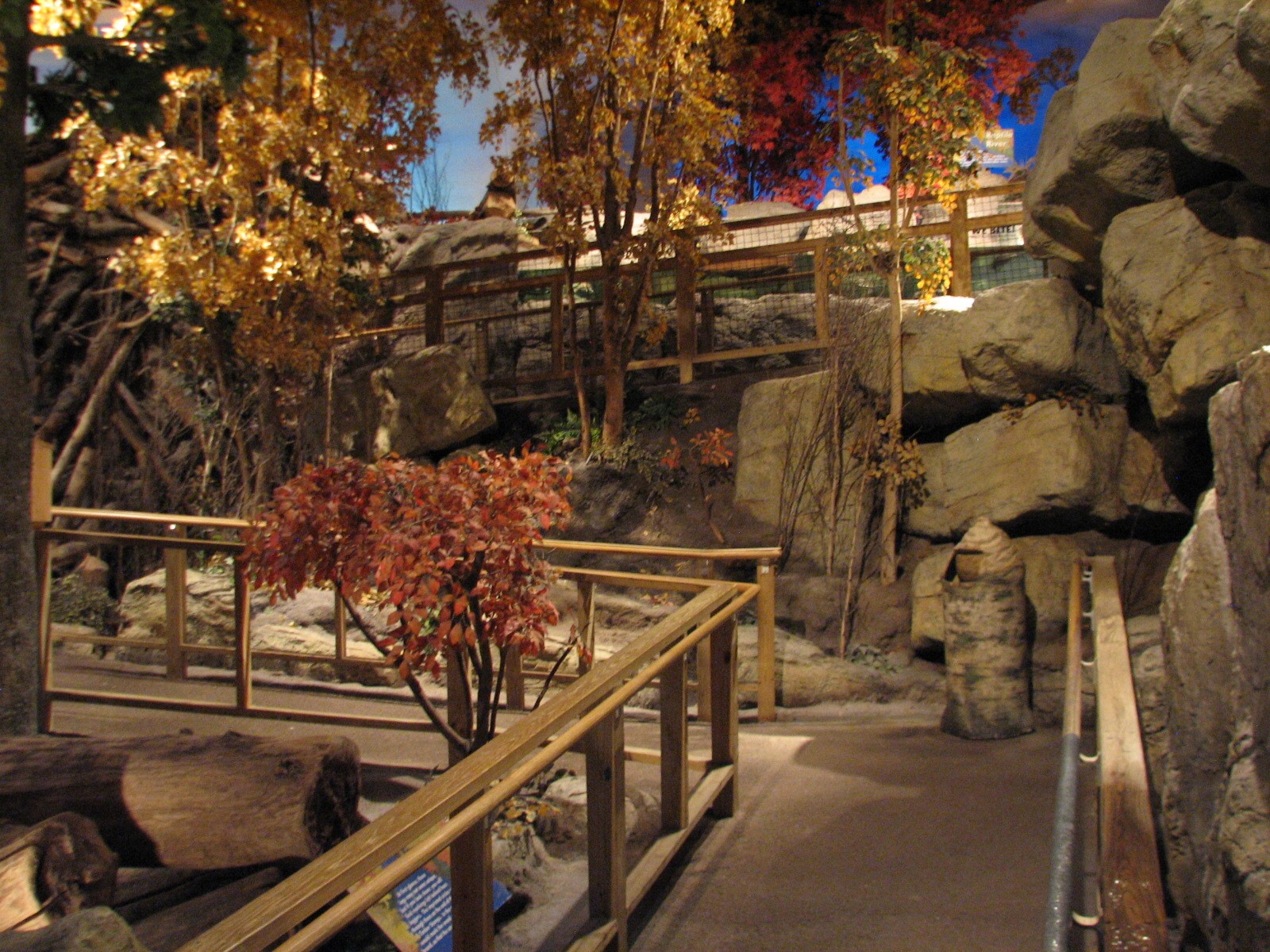 Touch of the Wild Woods - Exhibit Path