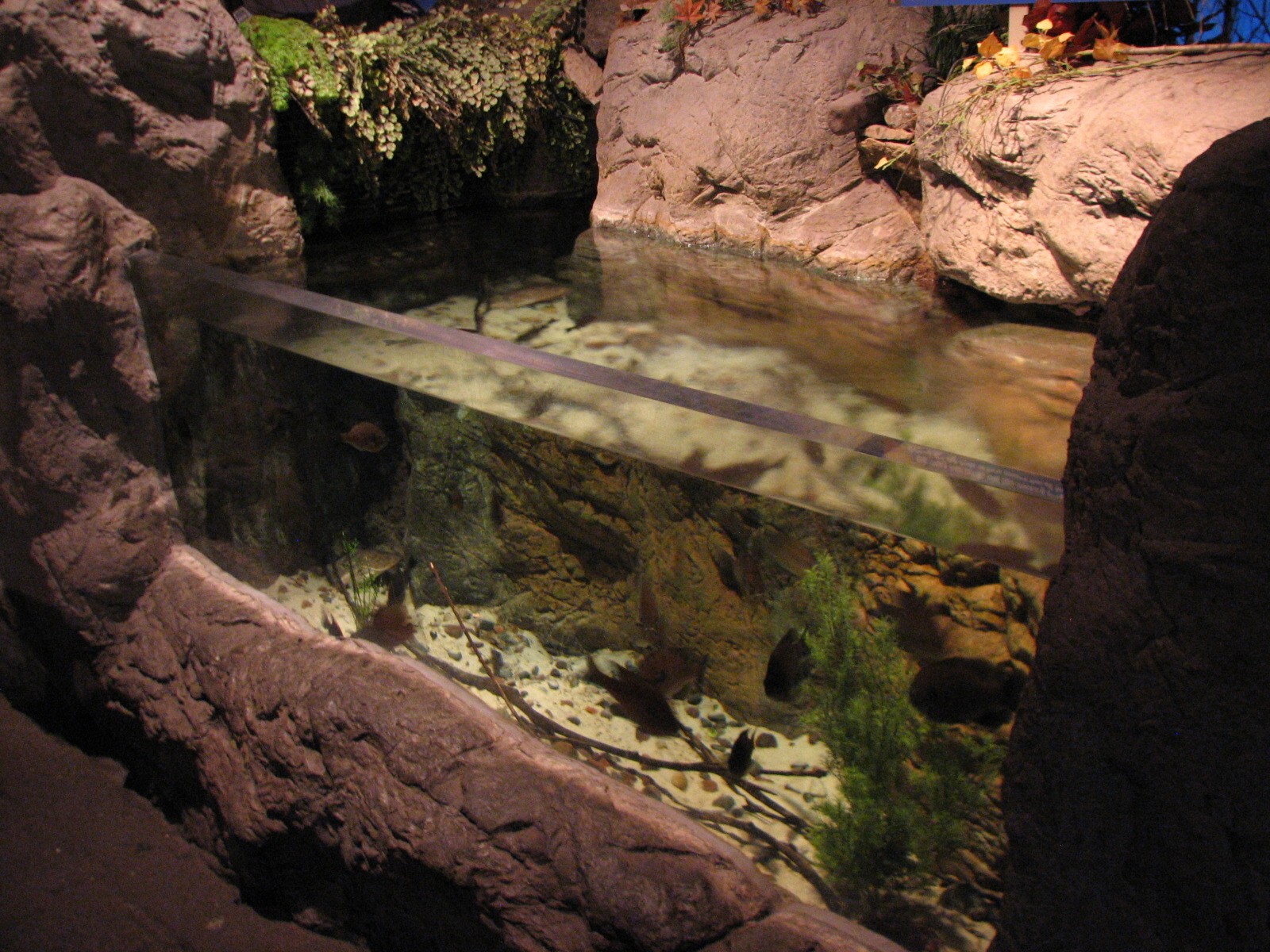 Touch of the Wild Woods - Fishin Hole