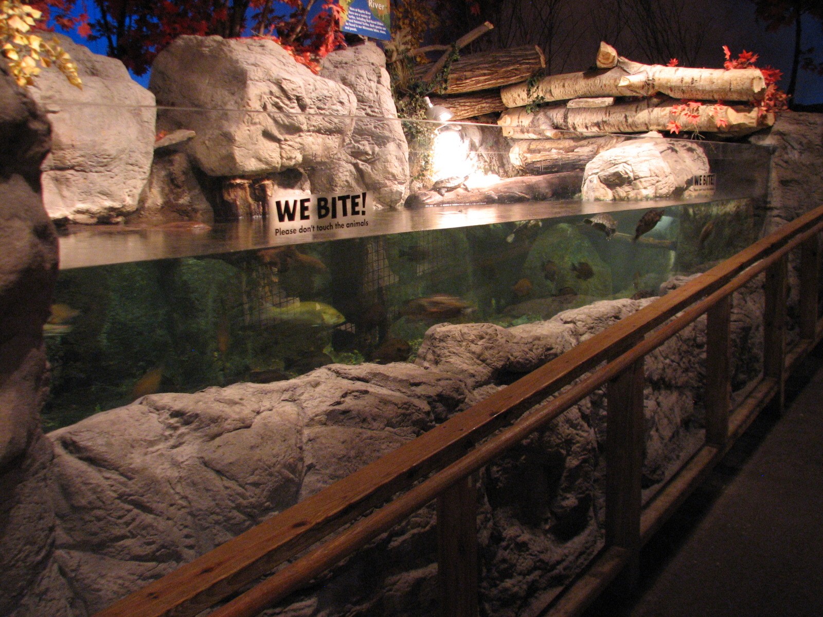 Touch of the Wild Woods - Reptile River for Red-eared Slider and Painted Tu