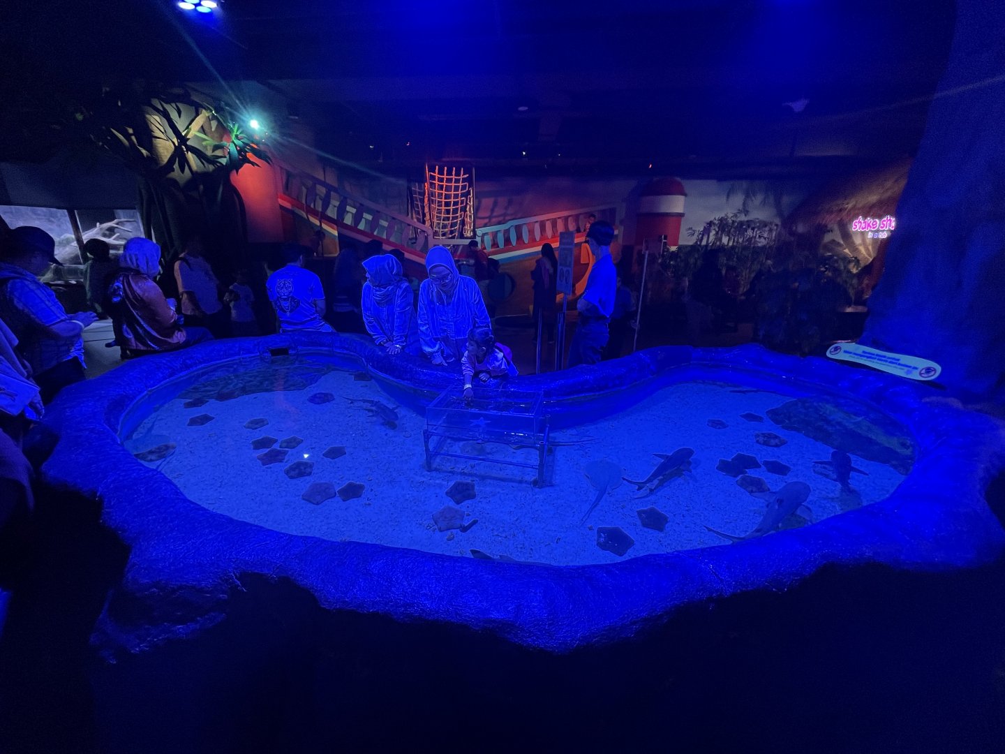 touch pool (1) - BX Sea