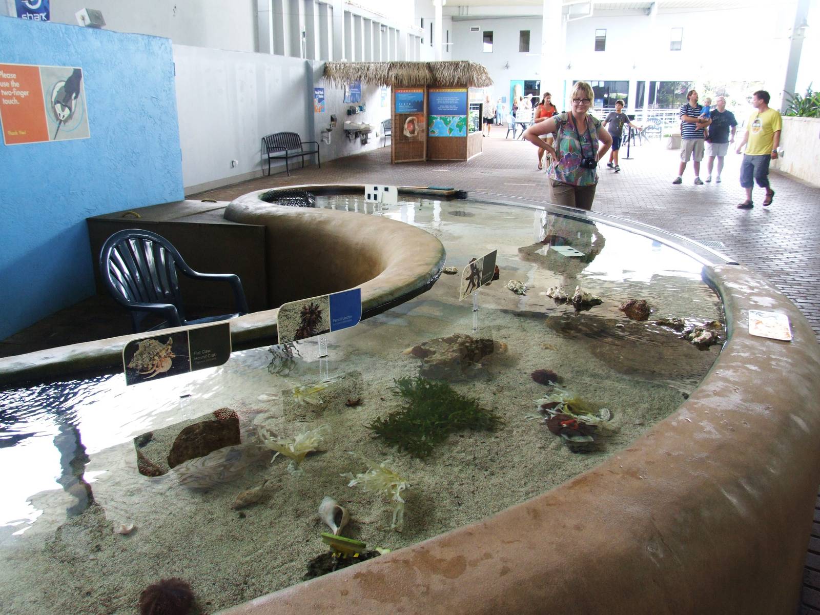 Touch Pool at Mote, 07/10/13