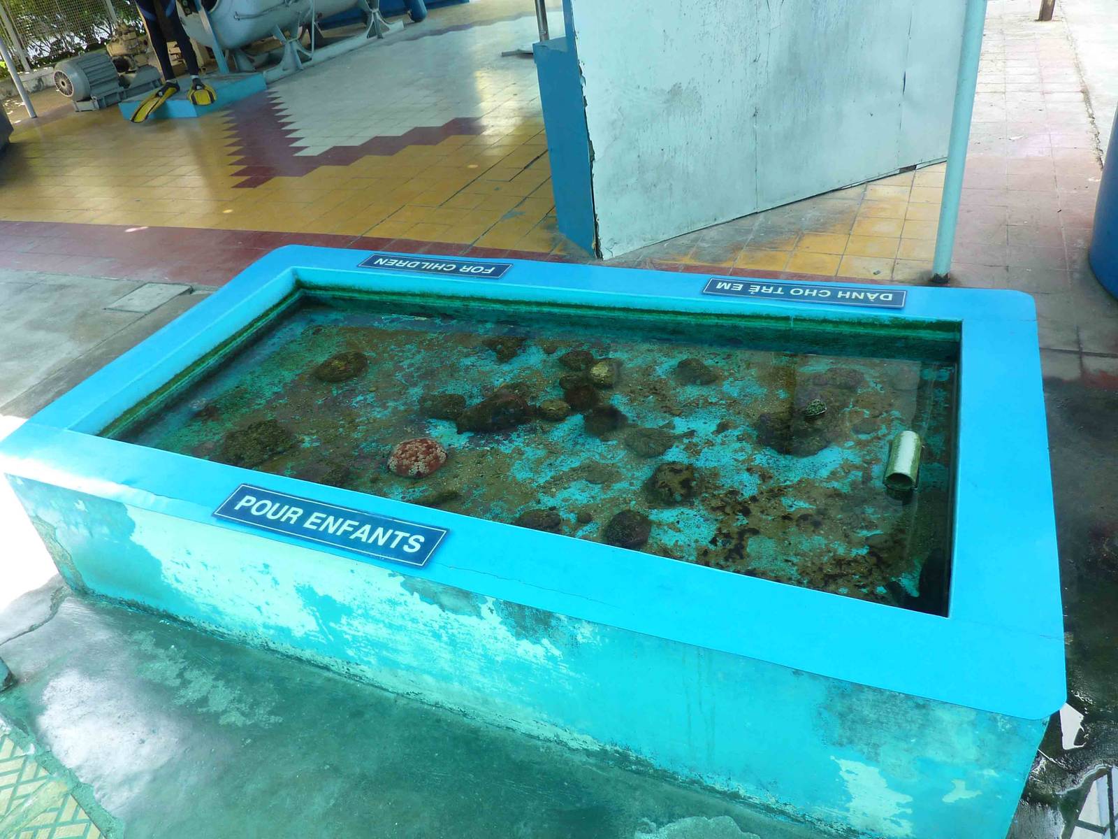 Touch pool, May 2013.