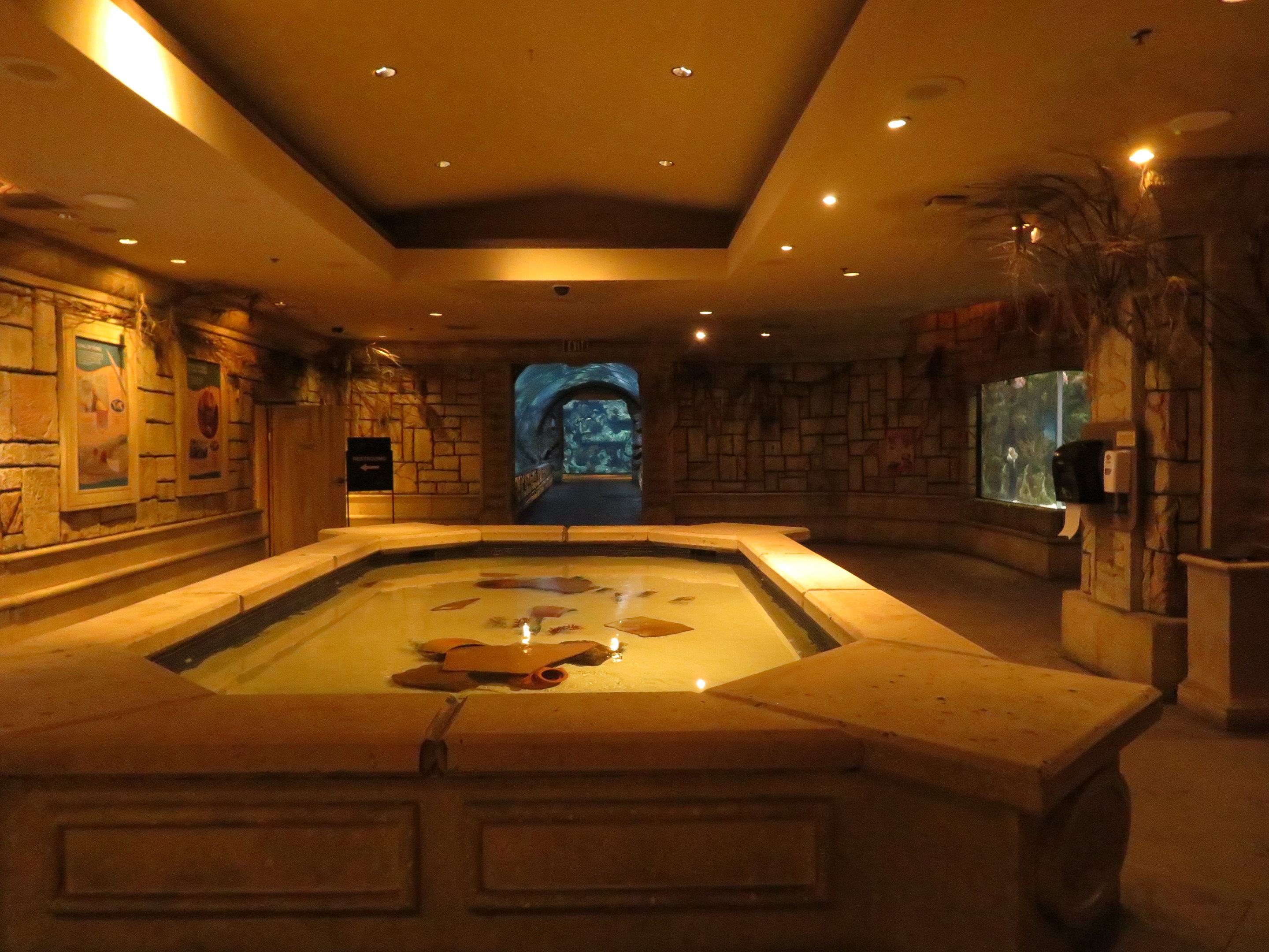 Touch Pool Room