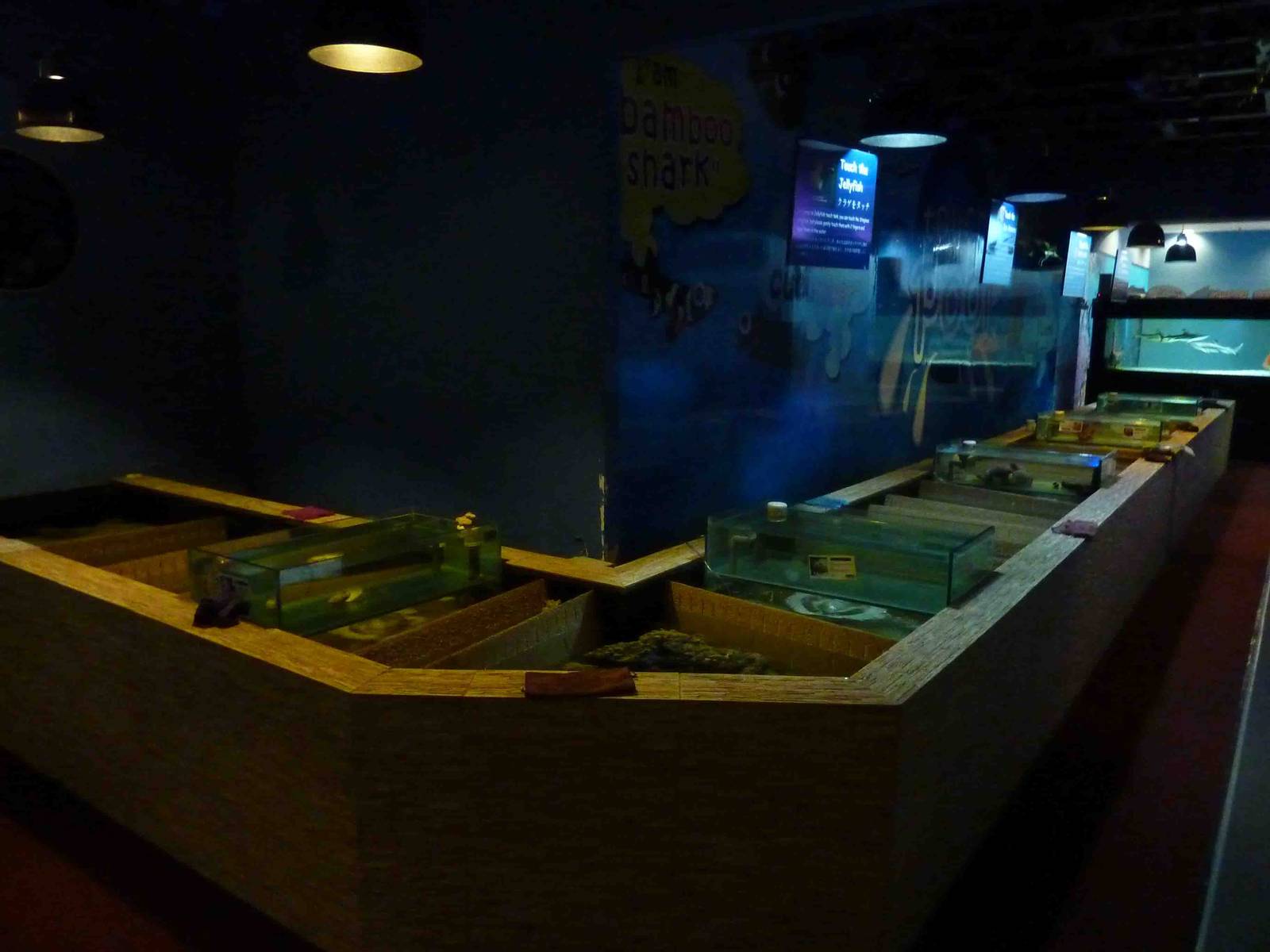 Touch pools, May 2013.