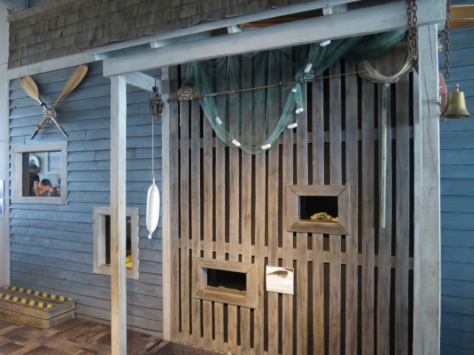 Touch Tank - 3 Small Aquariums and 1 Terrarium