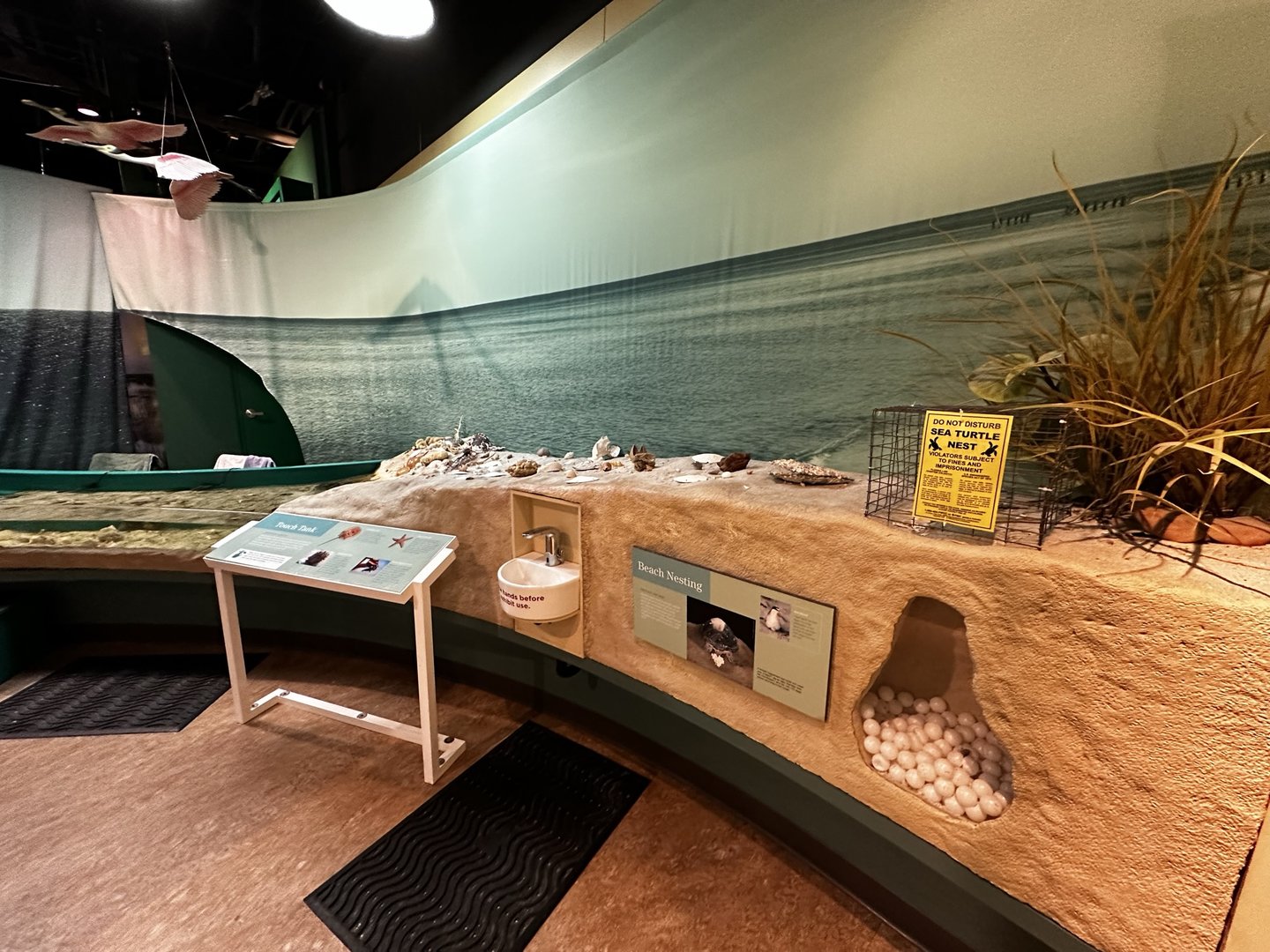 Touch-Tank and Beach Diorama