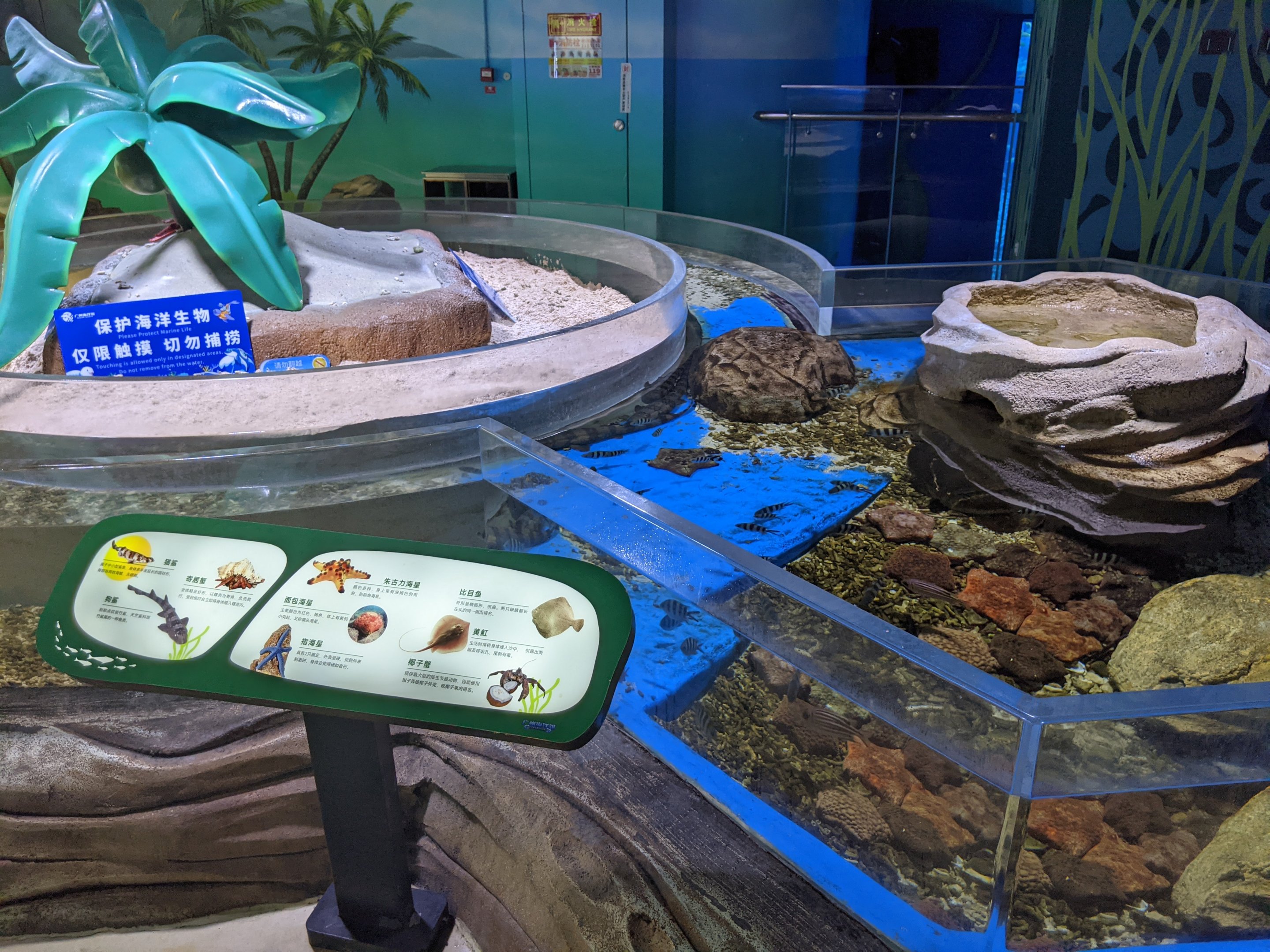 Touch tank - Ocean World (Guangzhou)