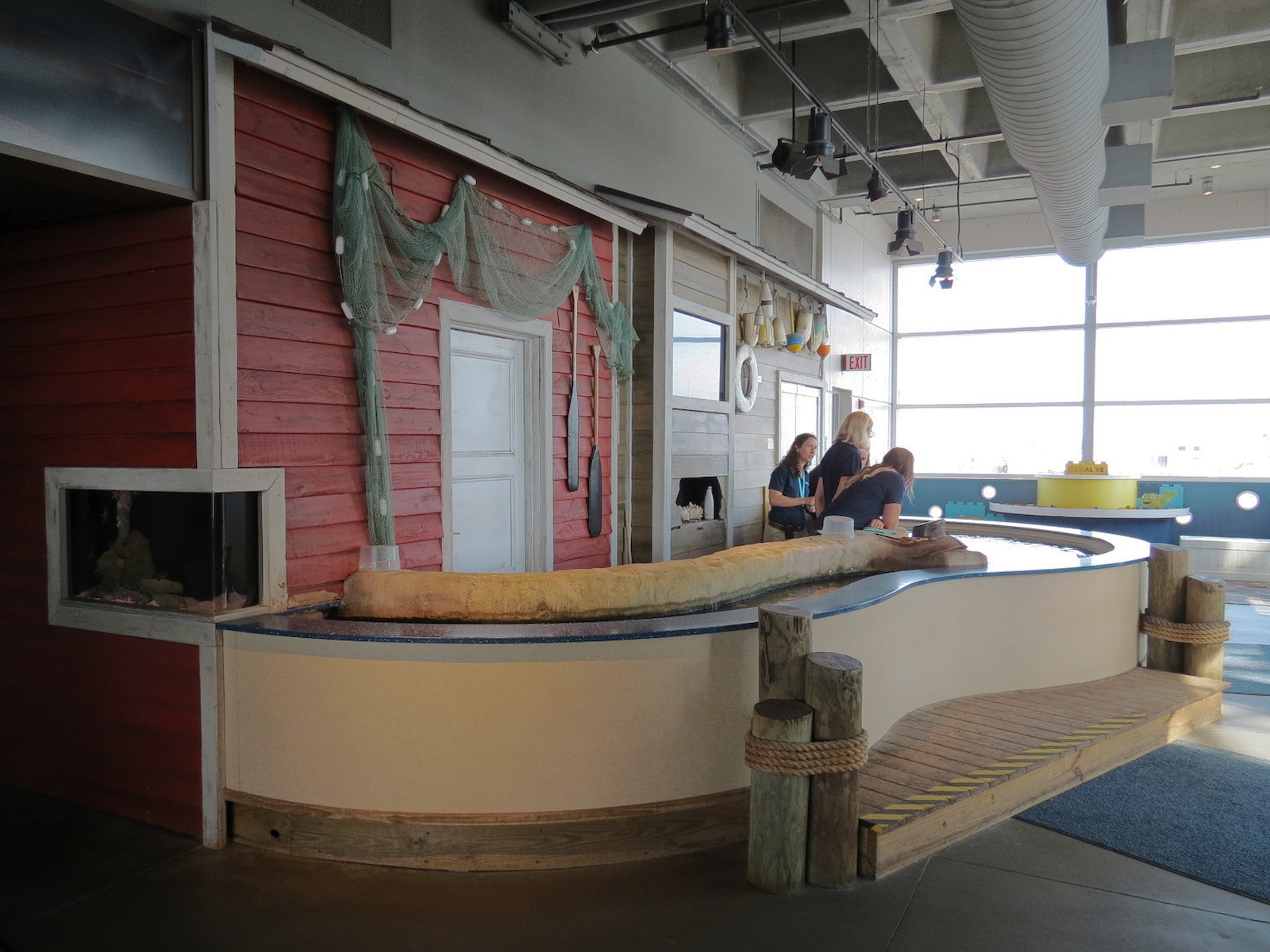 Touch Tank - Overview