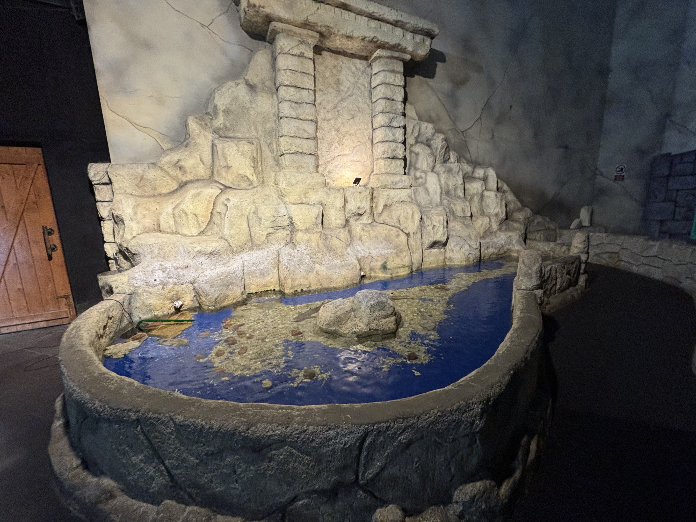 Touch Tank - Penguin Kingdom