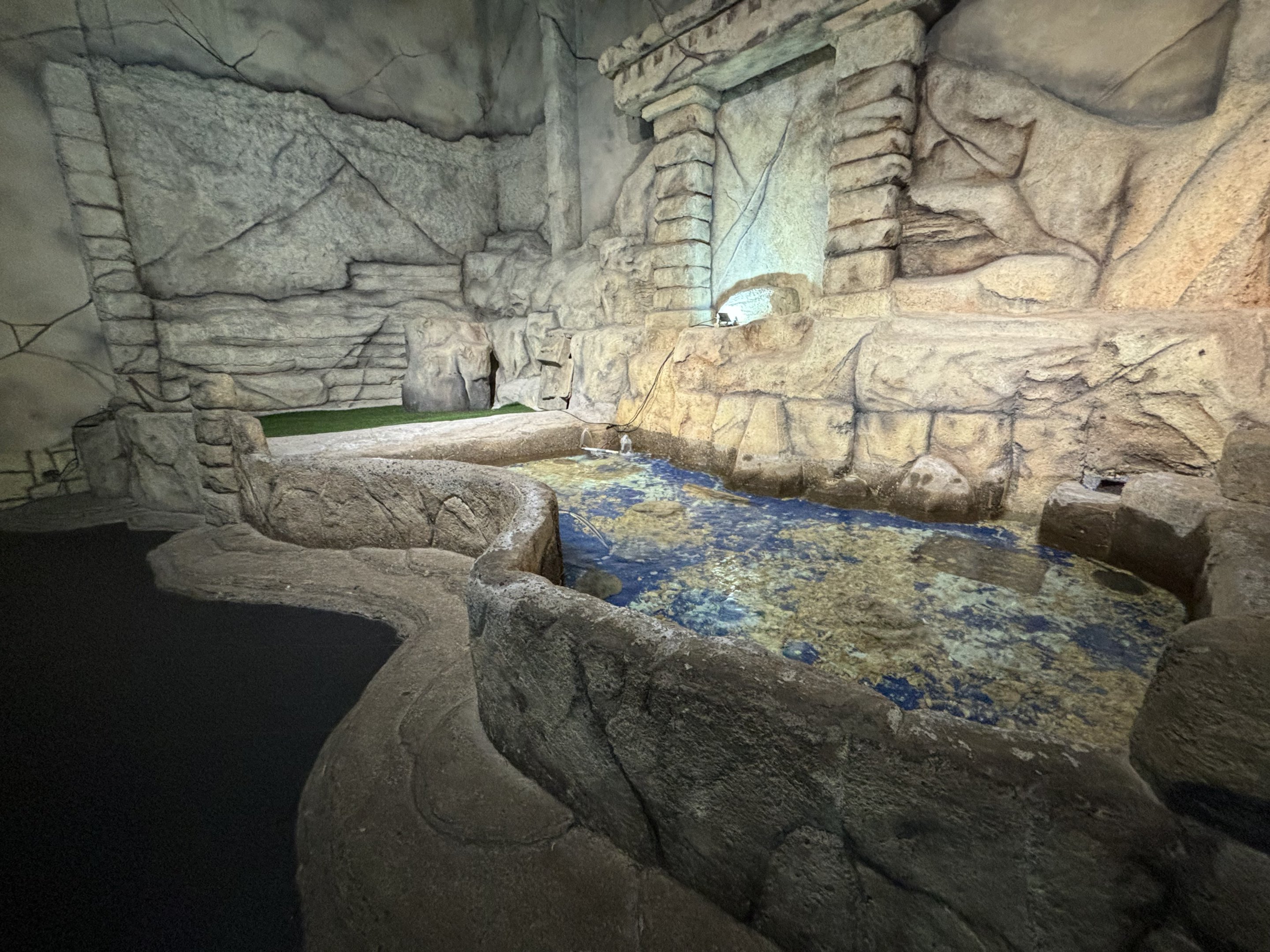 Touch Tank - Penguin Kingdom