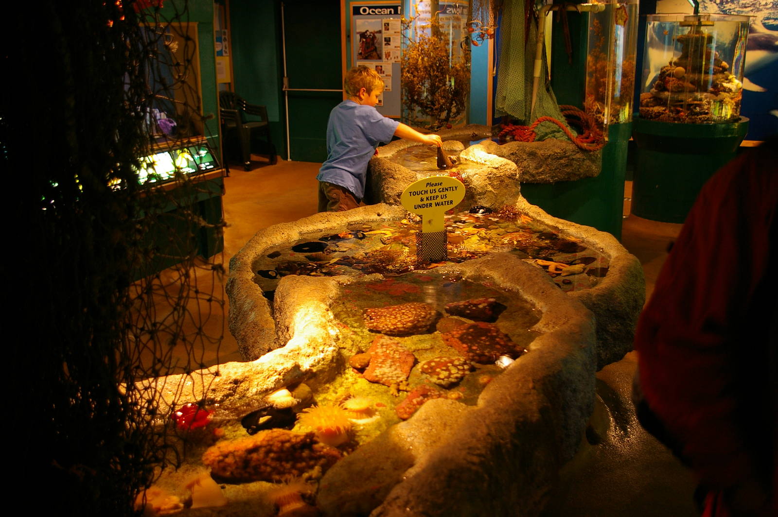 touch tank, Portobello Aquarium