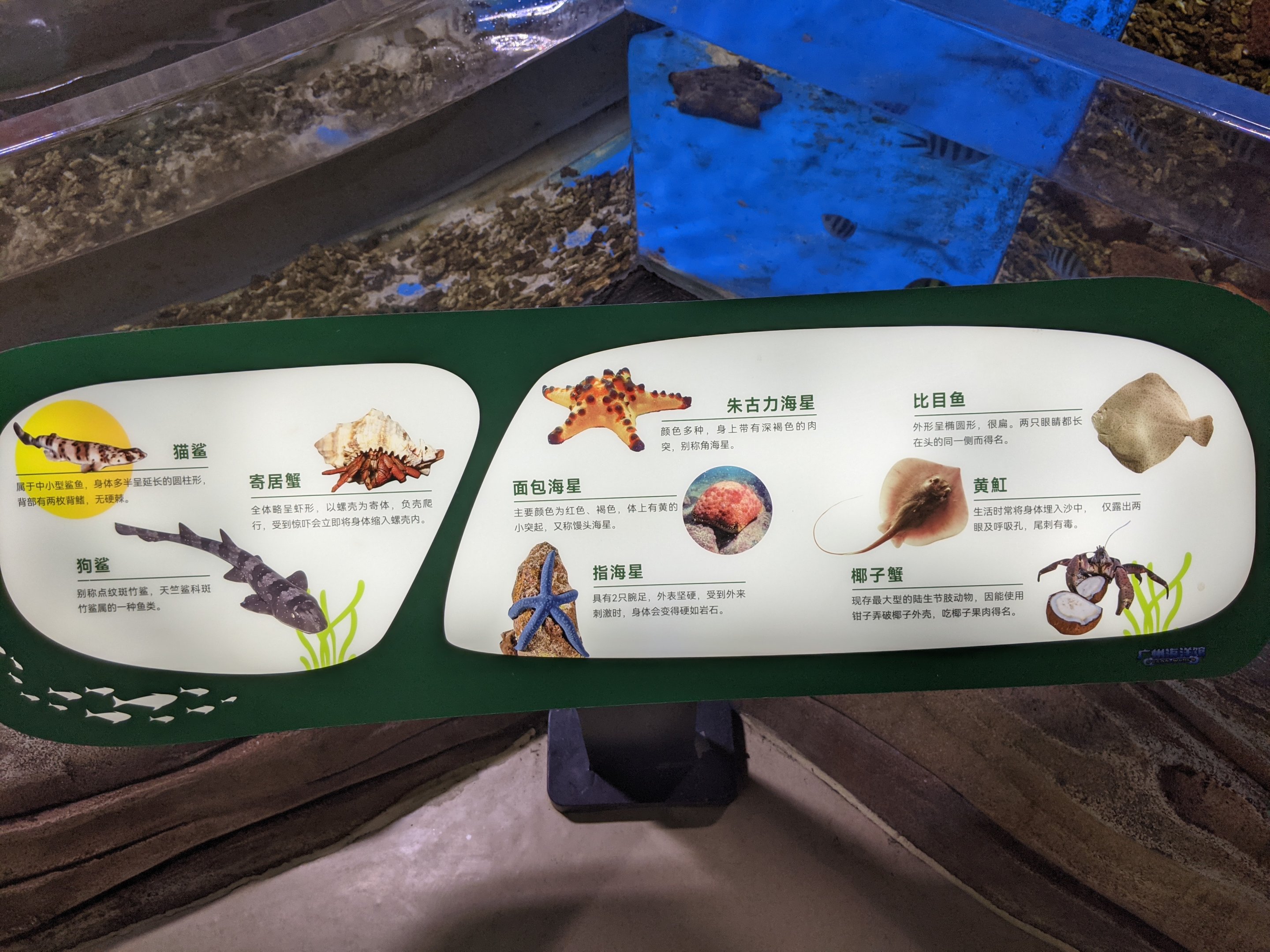 Touch tank signage - Ocean World (Guangzhou)
