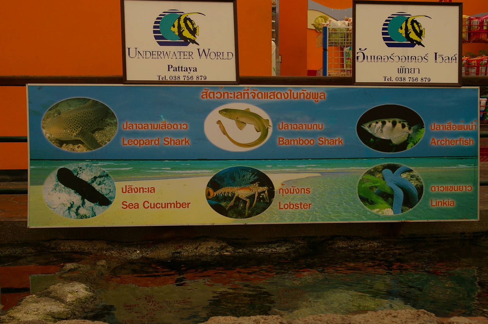 touch tank signage, Pattaya Underwater World (Thailand)