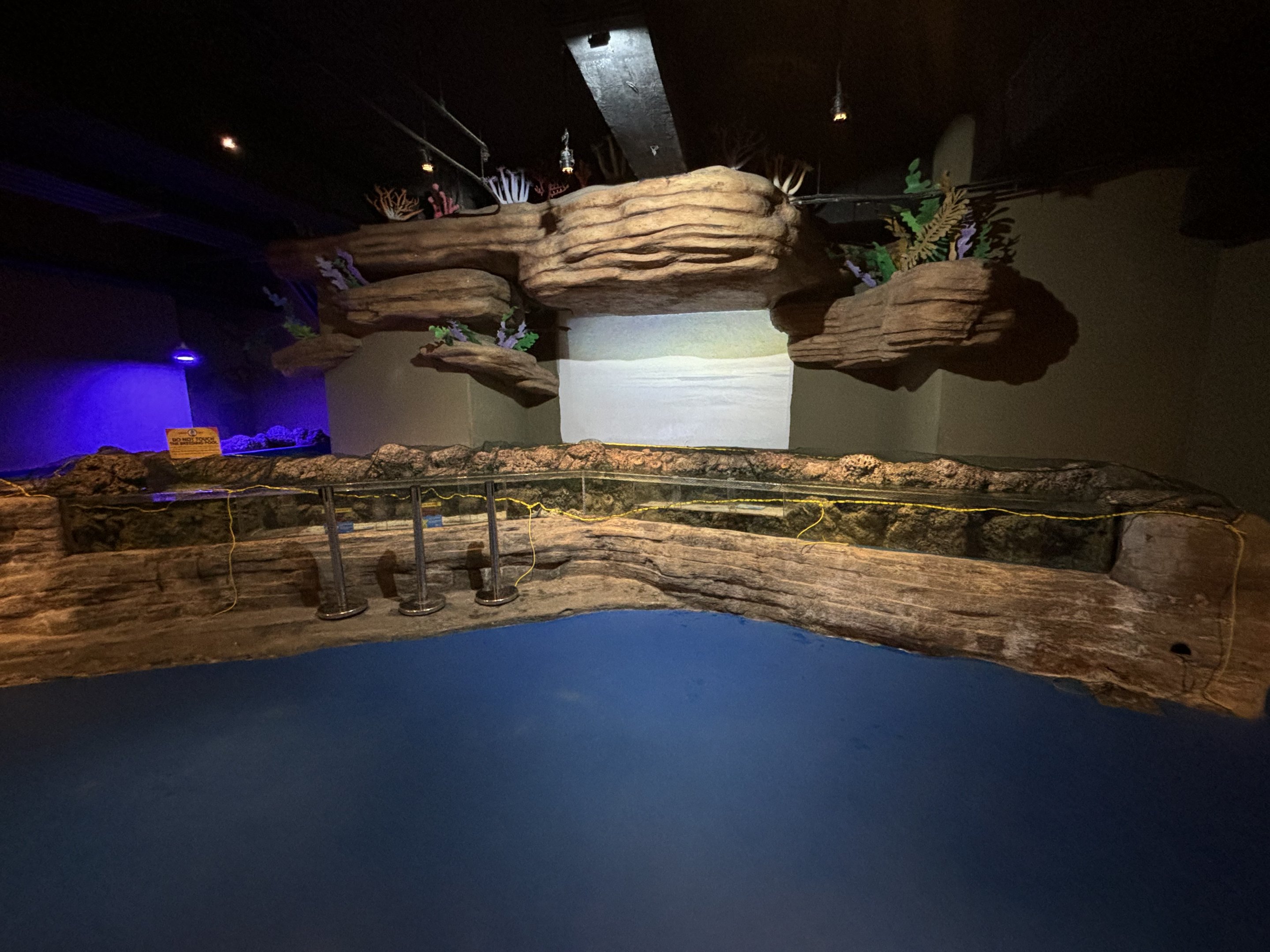 Touch Tank - temporarily closed