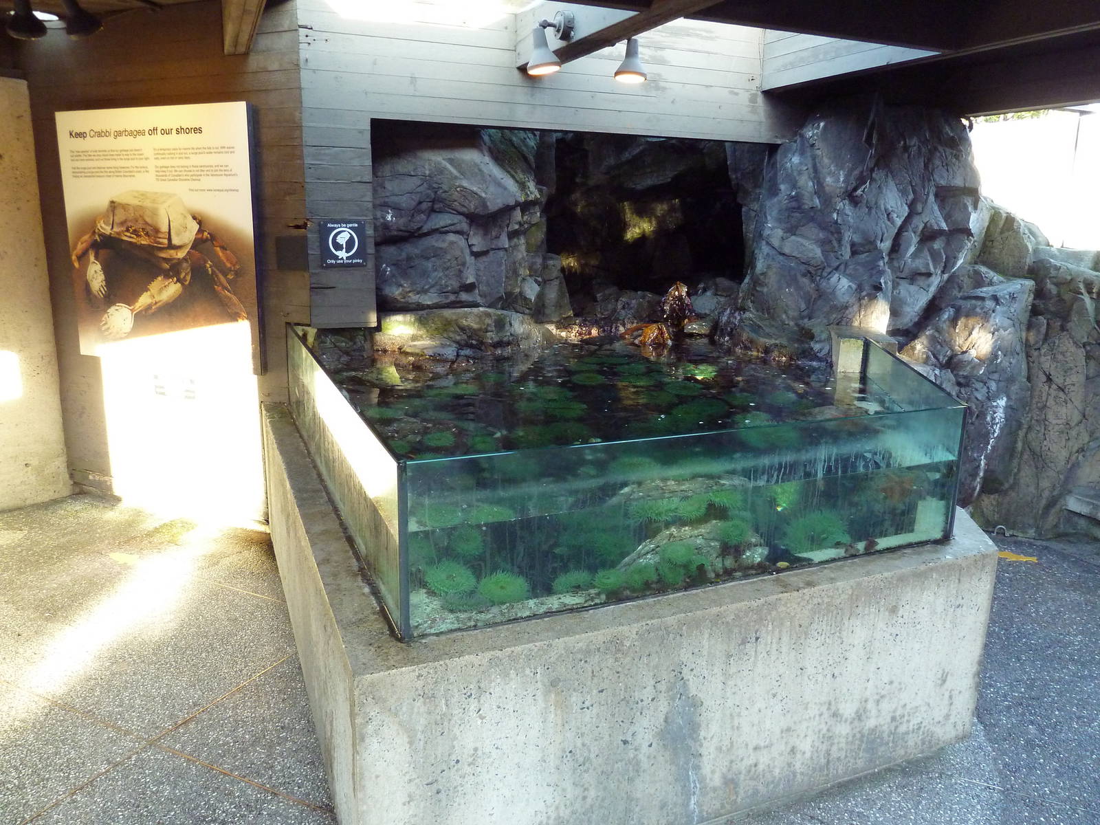 Touch Tank/Tide Pool Exhibit