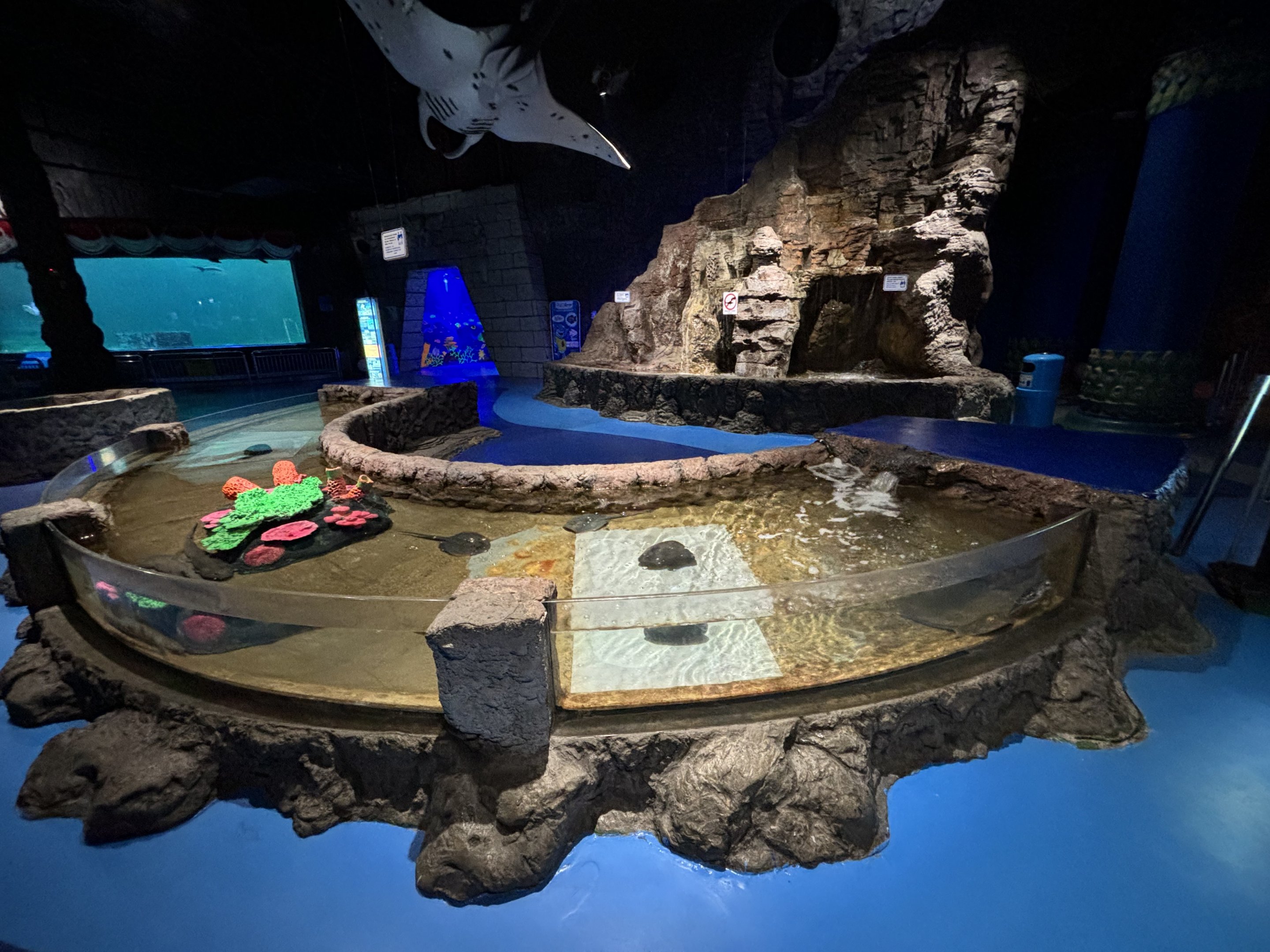 Touch Tank Zone