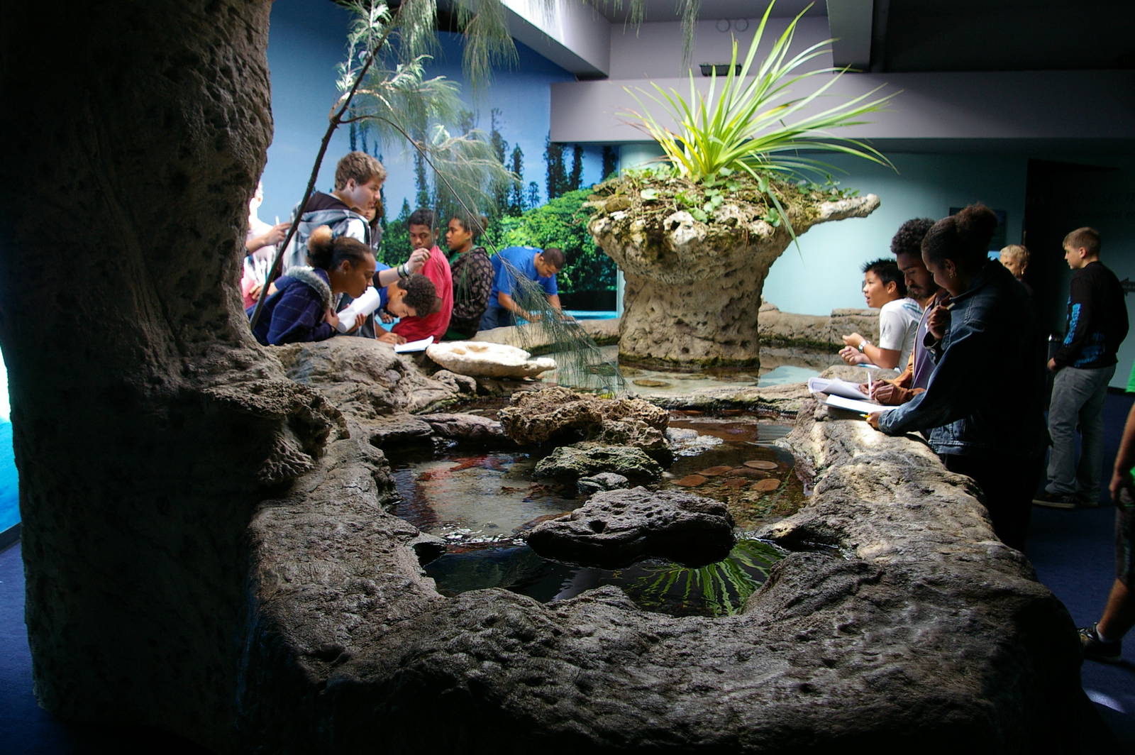 touch tank
