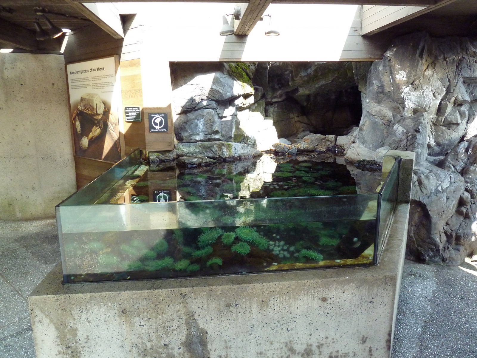 Touch Tank