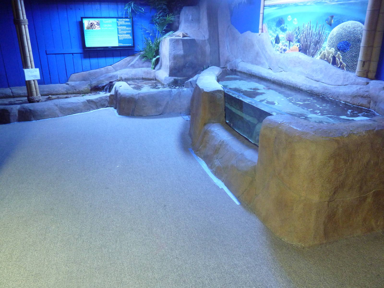 Touch Tank