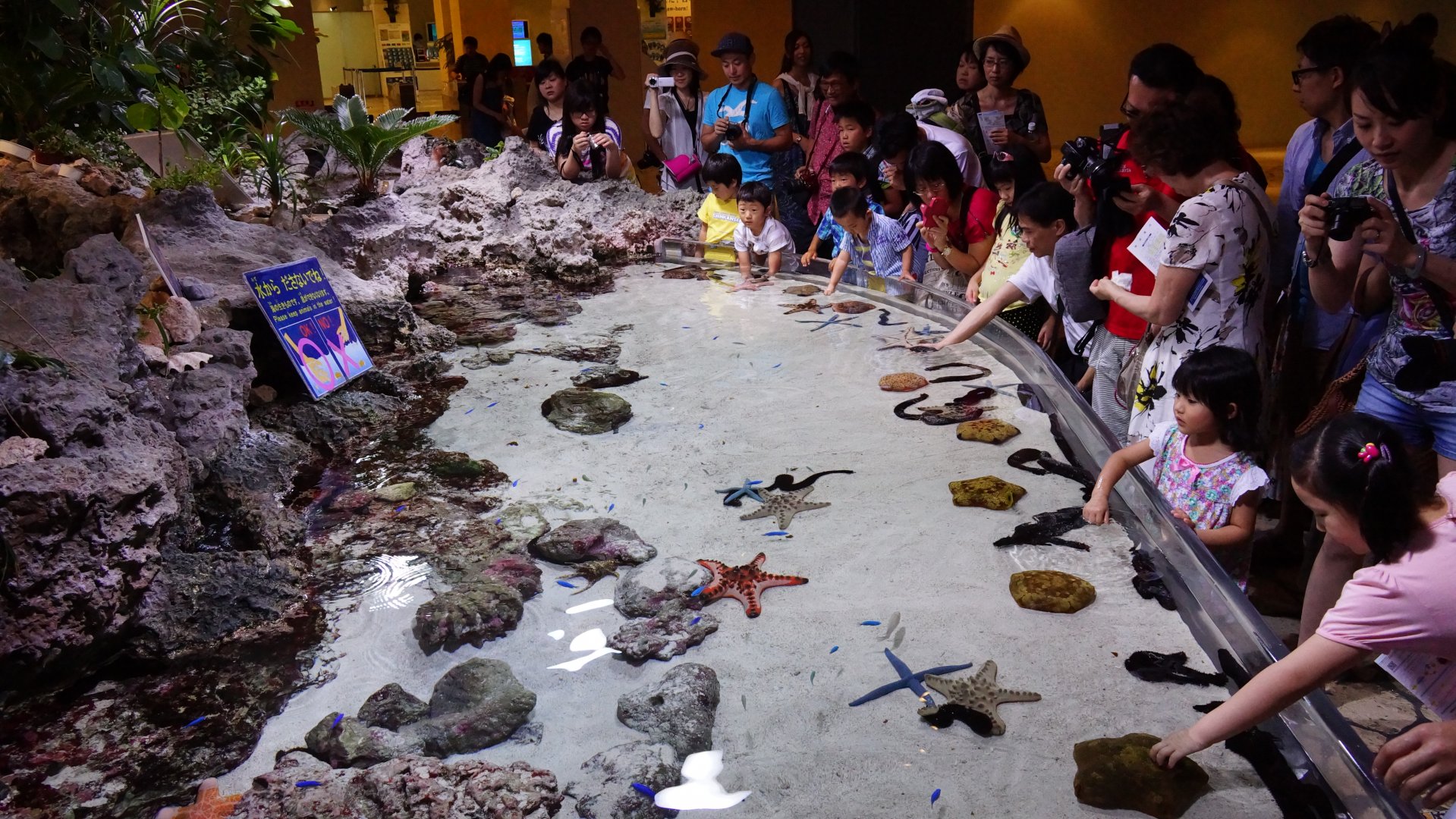 Touch Tank