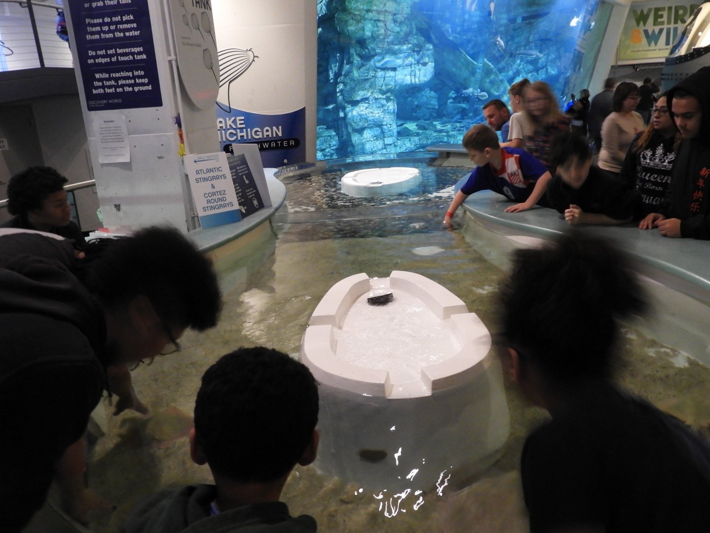 Touch Tanks - Reiman Aquarium