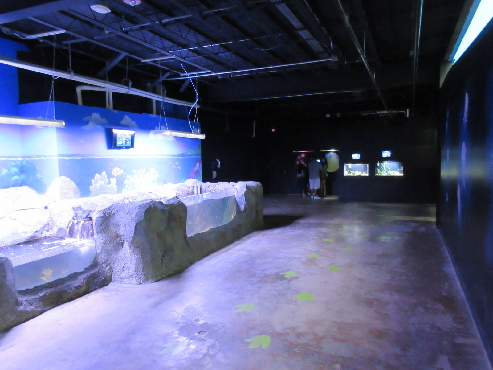 Touch Tanks (showing the warehouse-style environment)