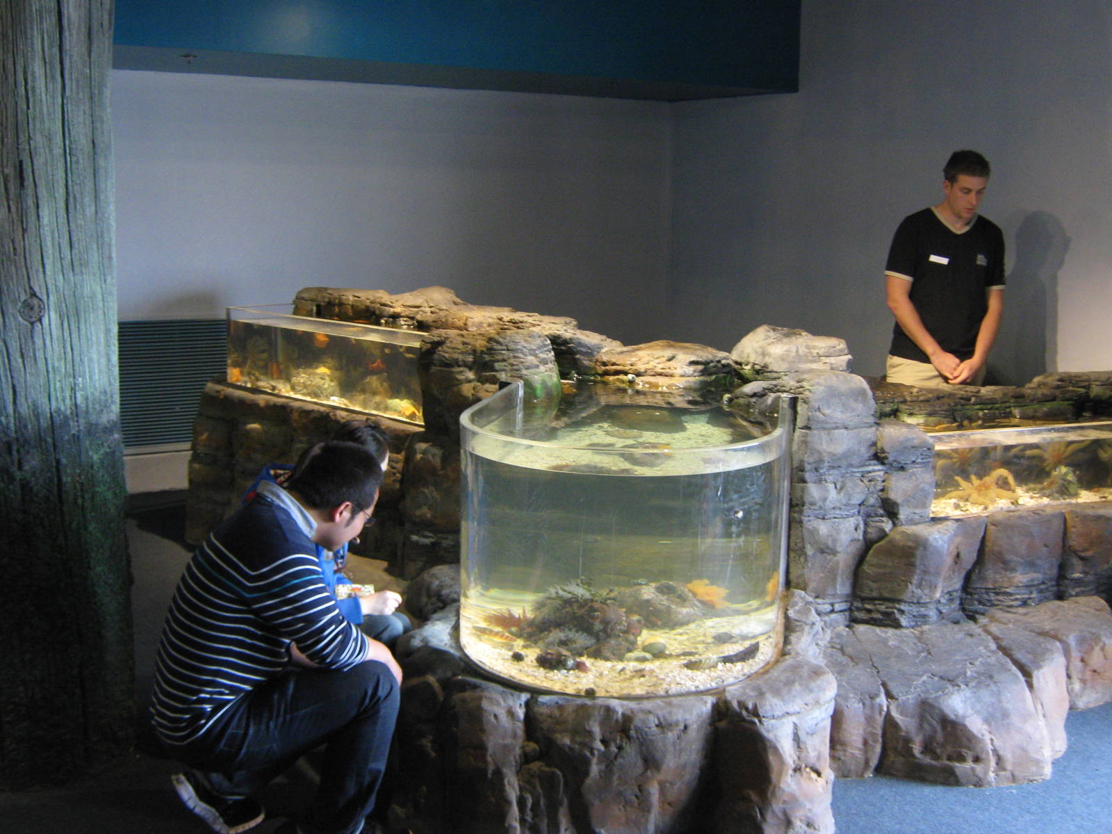 touch tanks