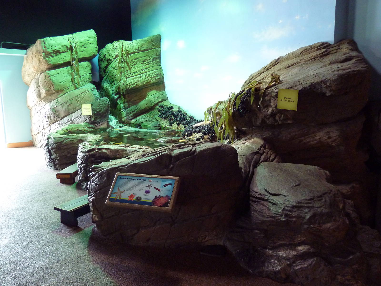 Touch The Bay - Coastal California Tide Pool