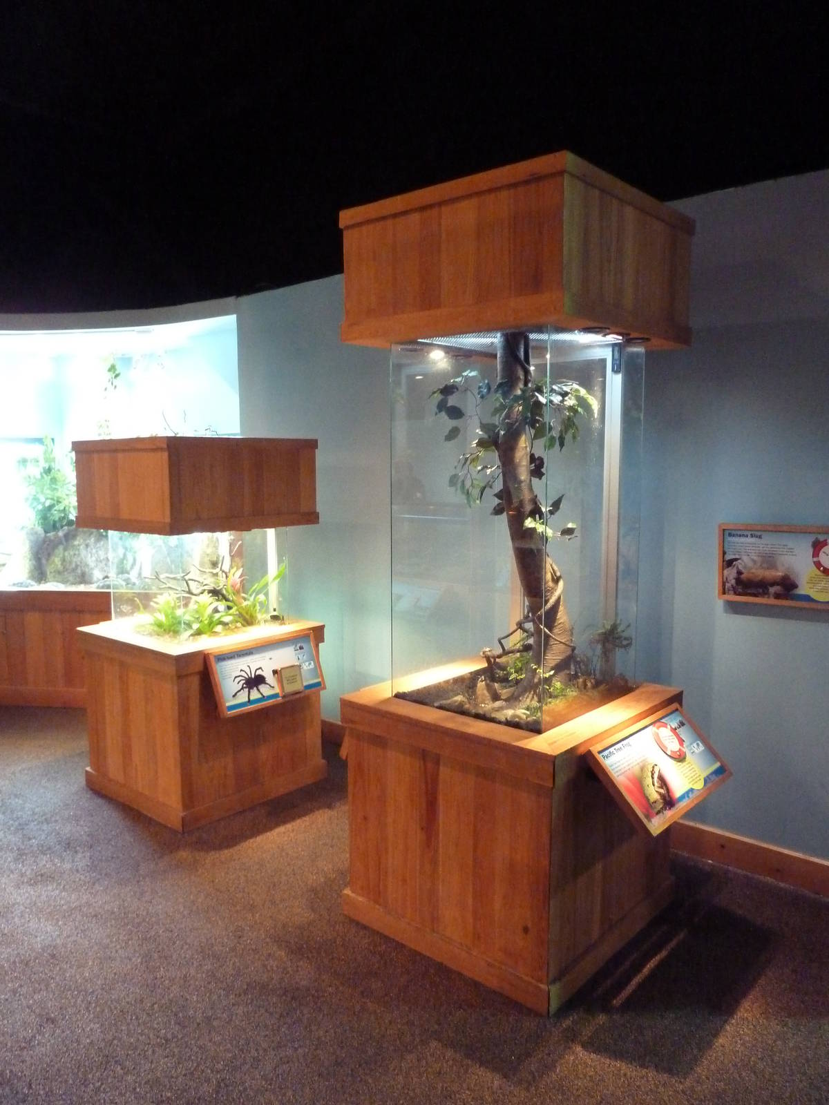 Touch The Bay Exhibits (2 Species)