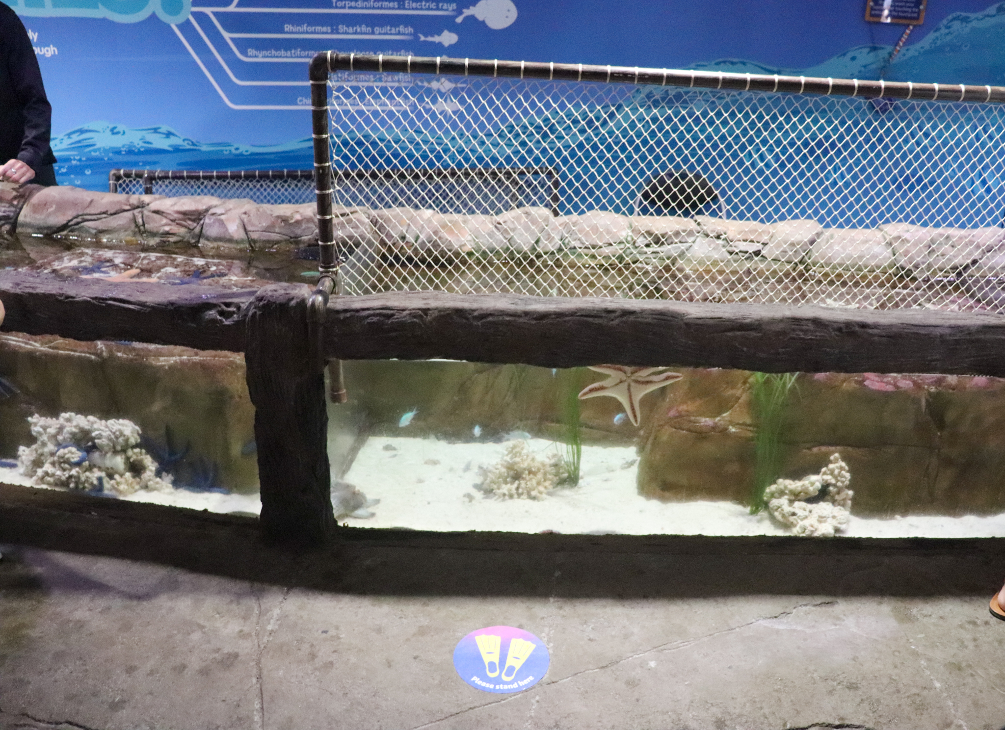 Touchpool -Tidal Touchpool