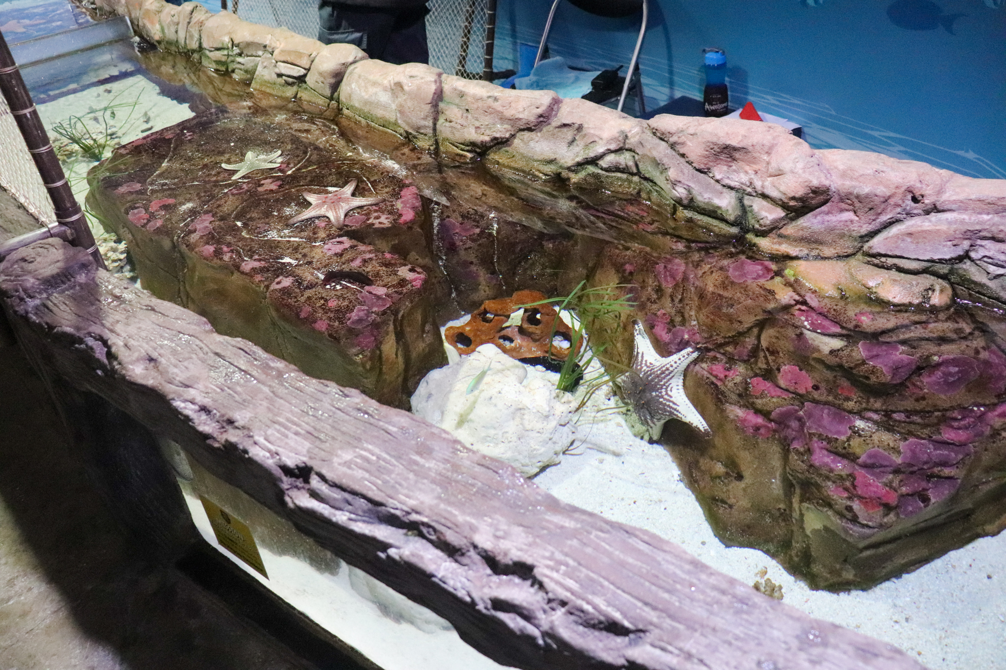 Touchpool -Tidal Touchpool