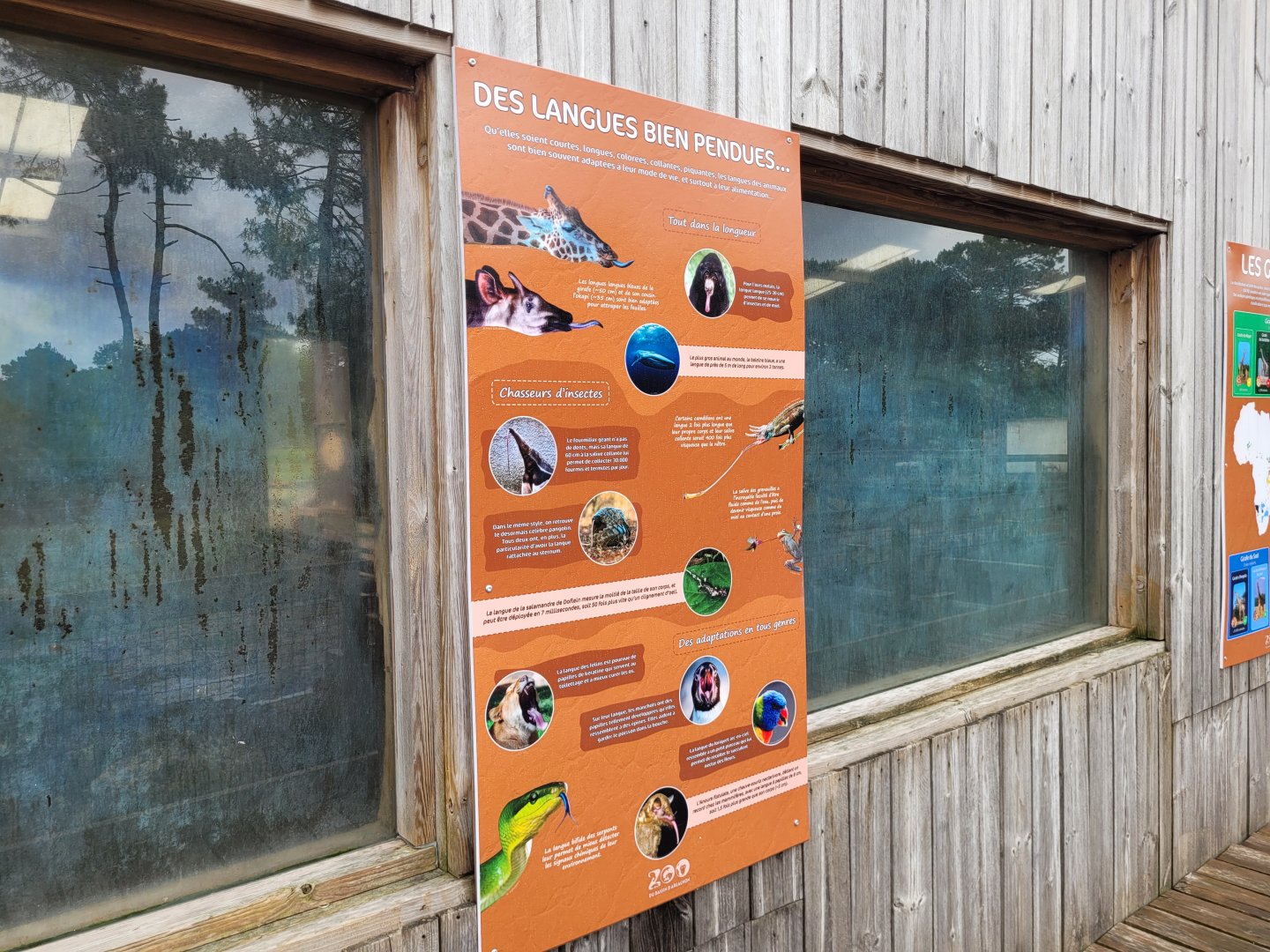 Tounge sign -Zoo du bassin d'Arcachon (2024)