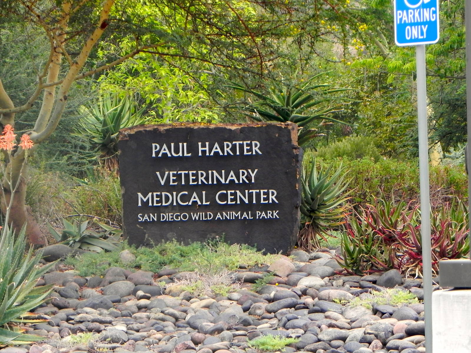 Tour of the Veterinary Medical Center