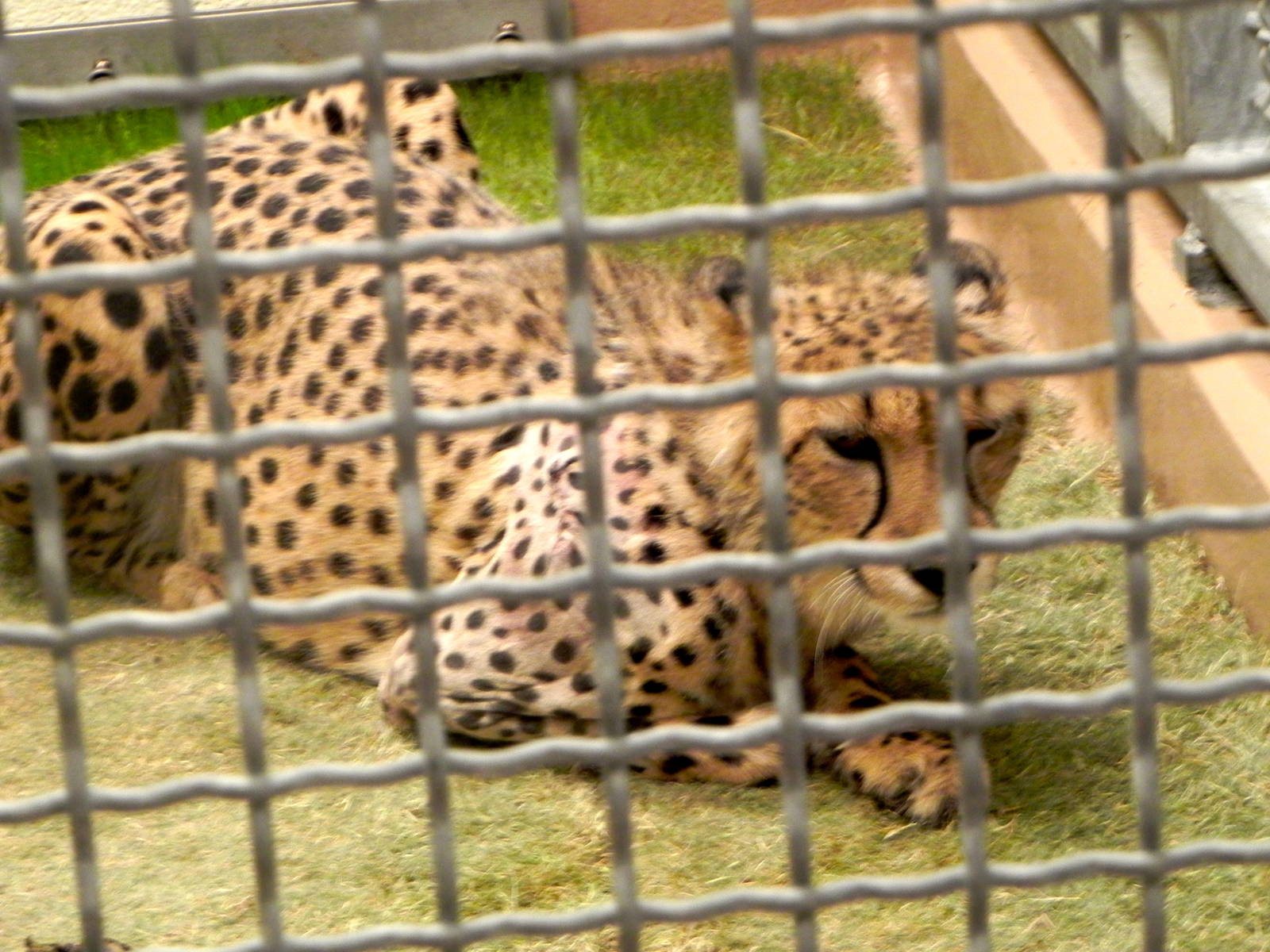 Tour of the Veterinary Medical Center