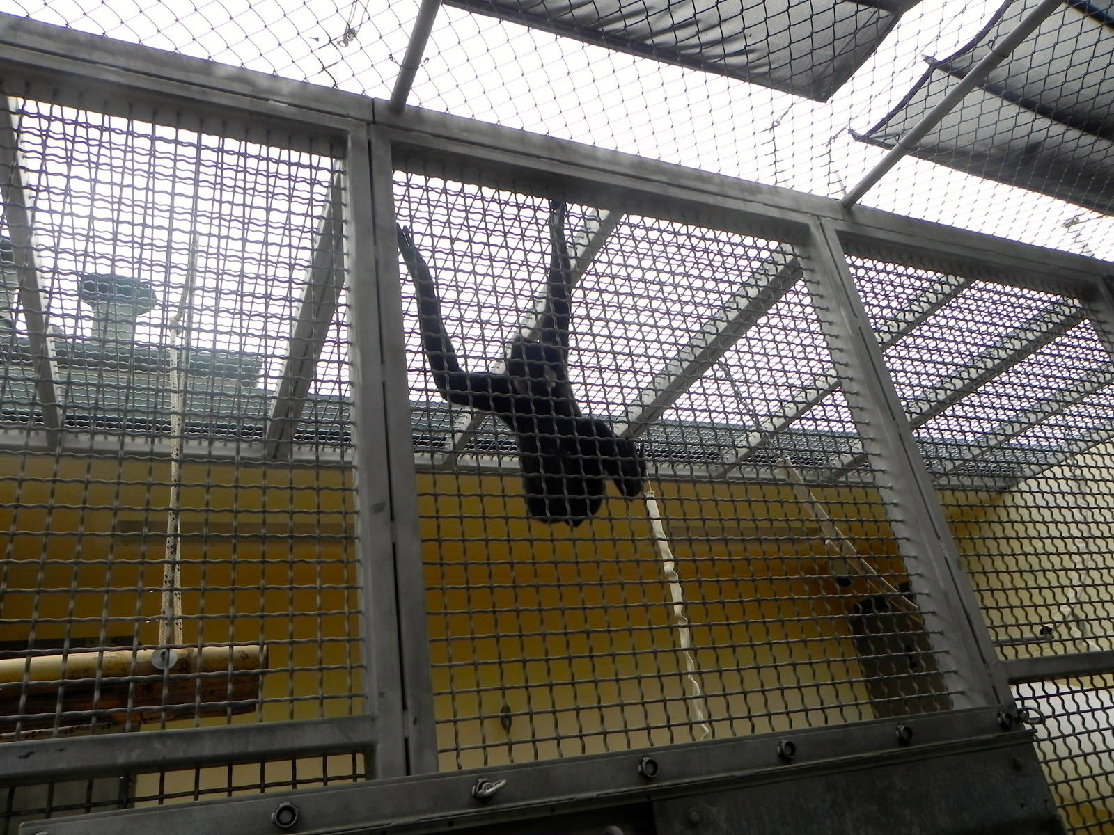 Tour of the Veterinary Medical Center