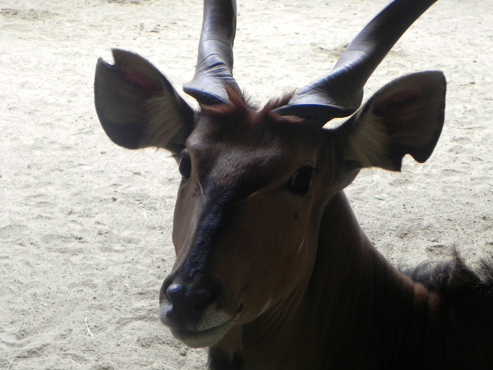 Tour of the Veterinary Medical Center