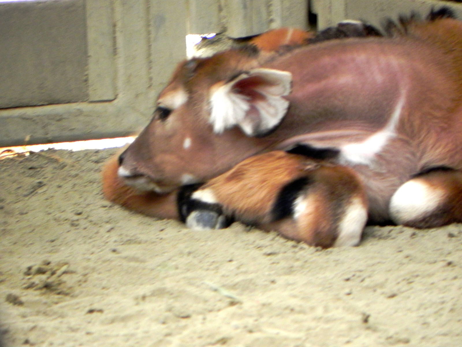 Tour of the Veterinary Medical Center