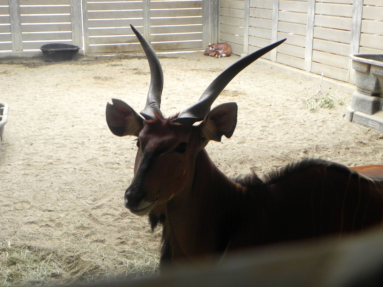 Tour of the Veterinary Medical Center