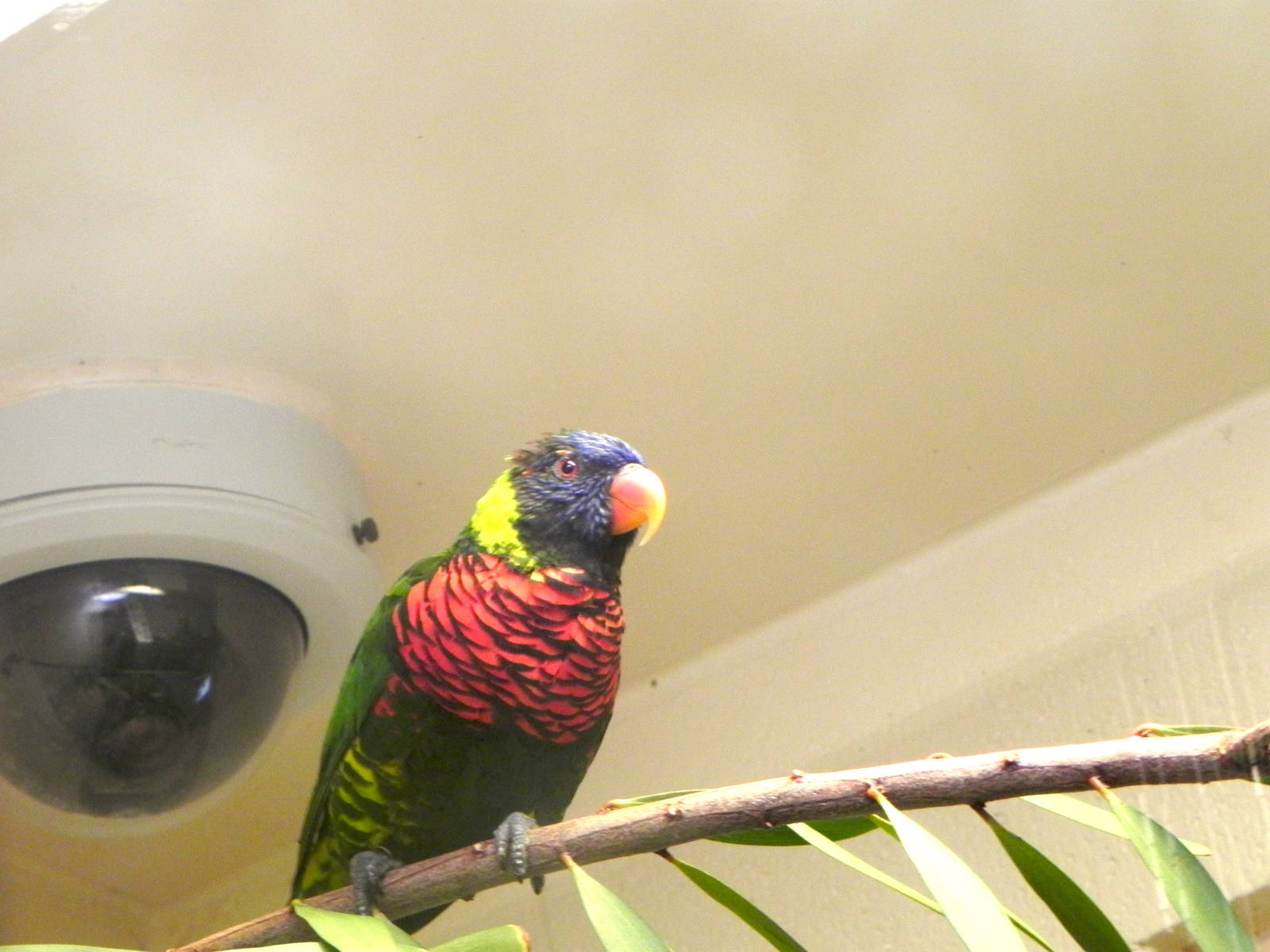 Tour of the Veterinary Medical Center