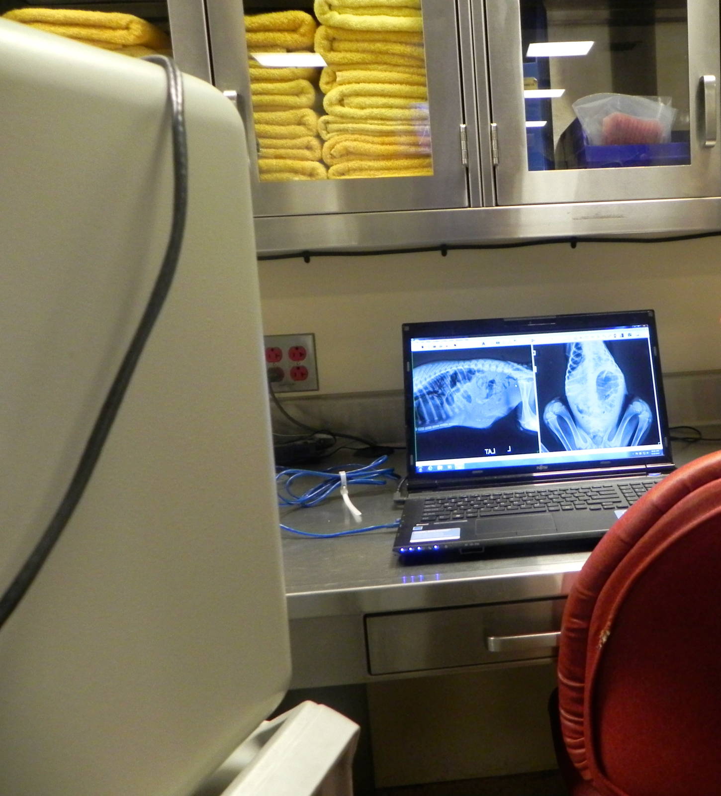 Tour of the Veterinary Medical Center