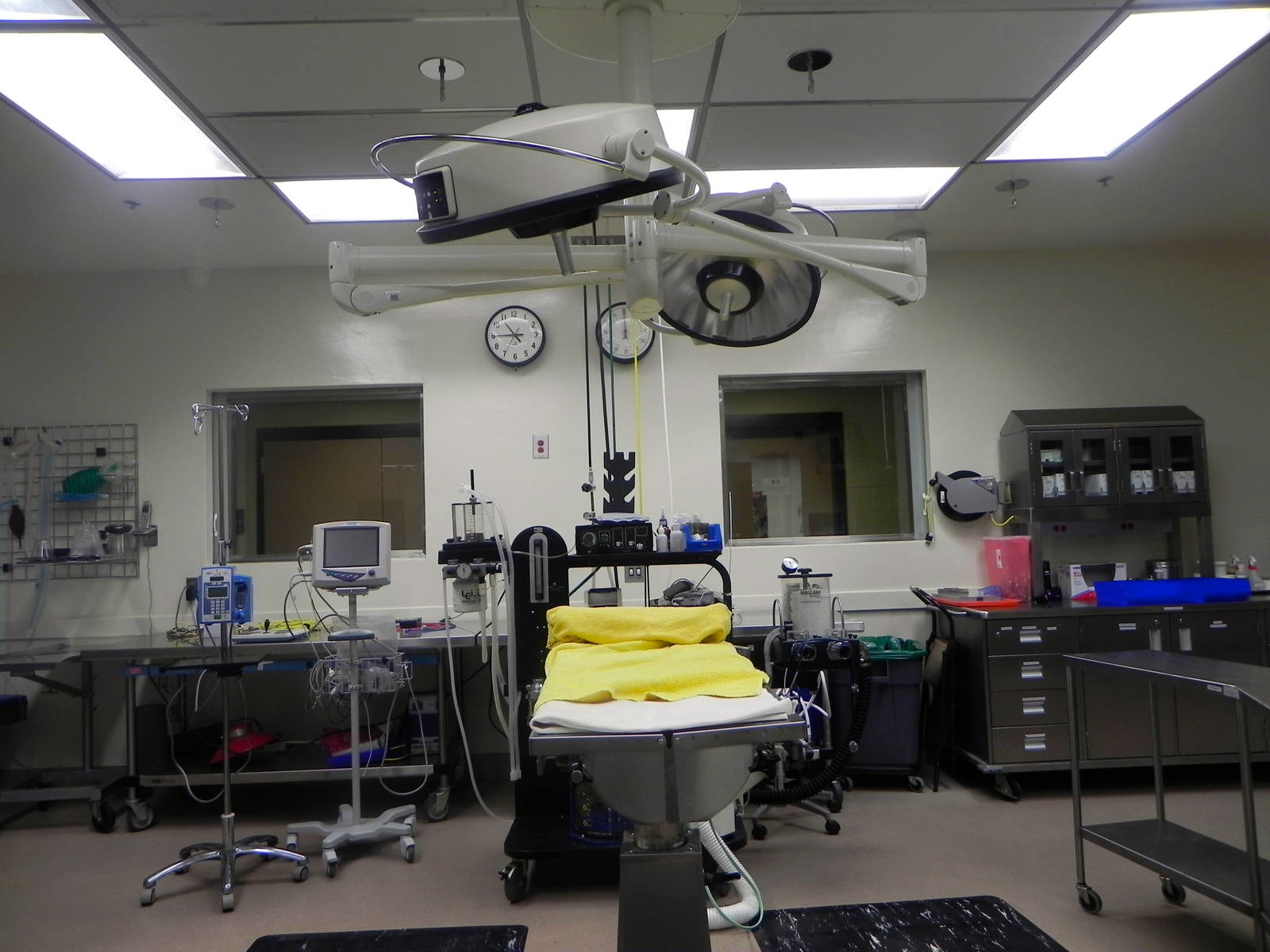 Tour of the Veterinary Medical Center