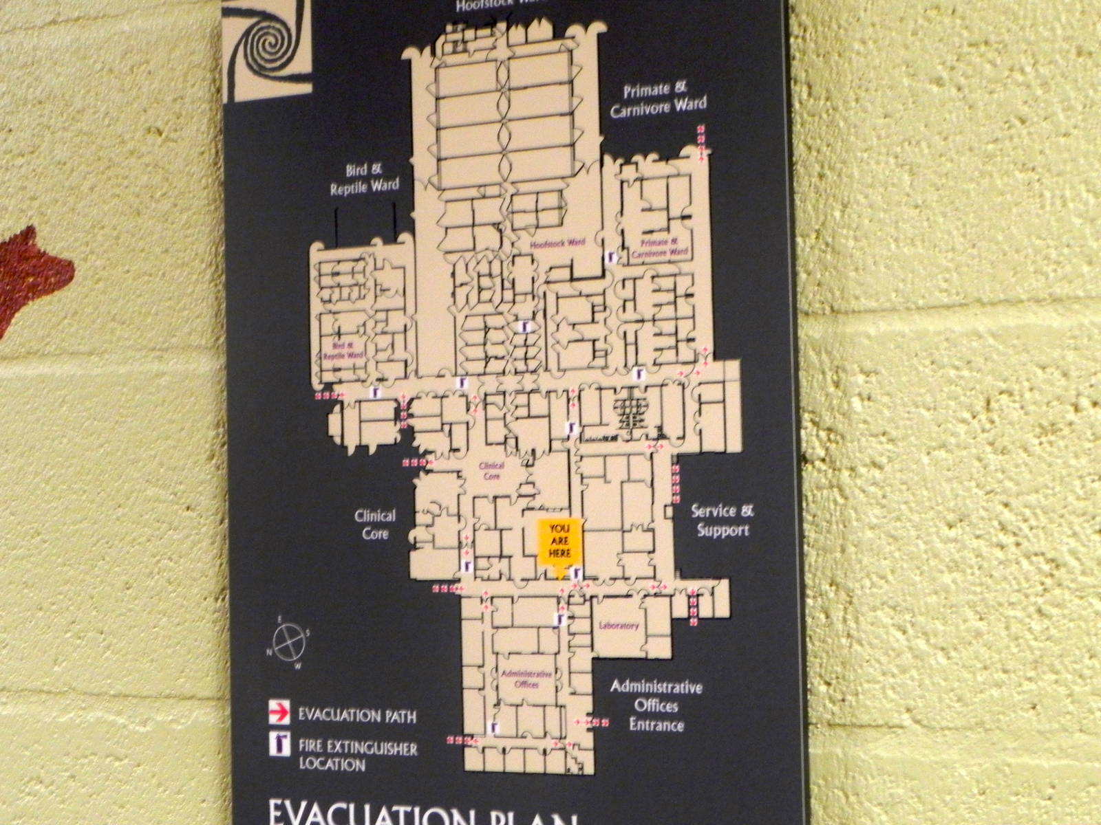 Tour of the Veterinary Medical Center