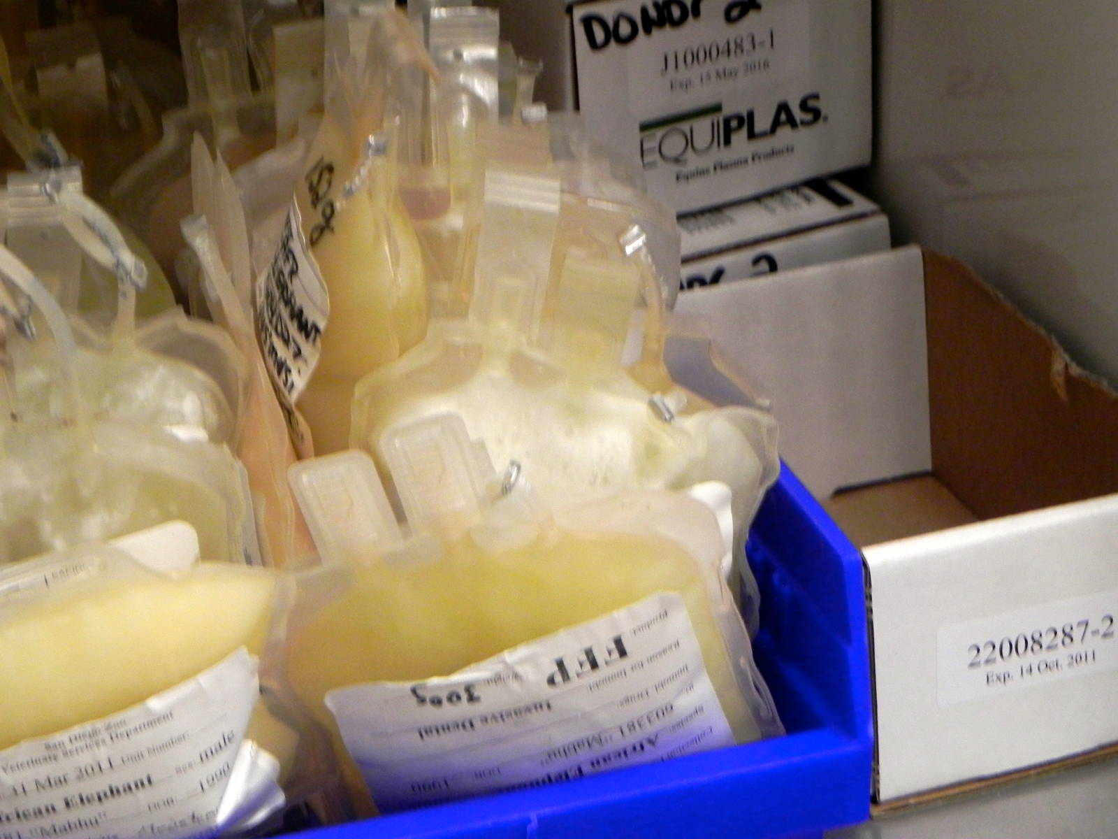 Tour of the Veterinary Medical Center