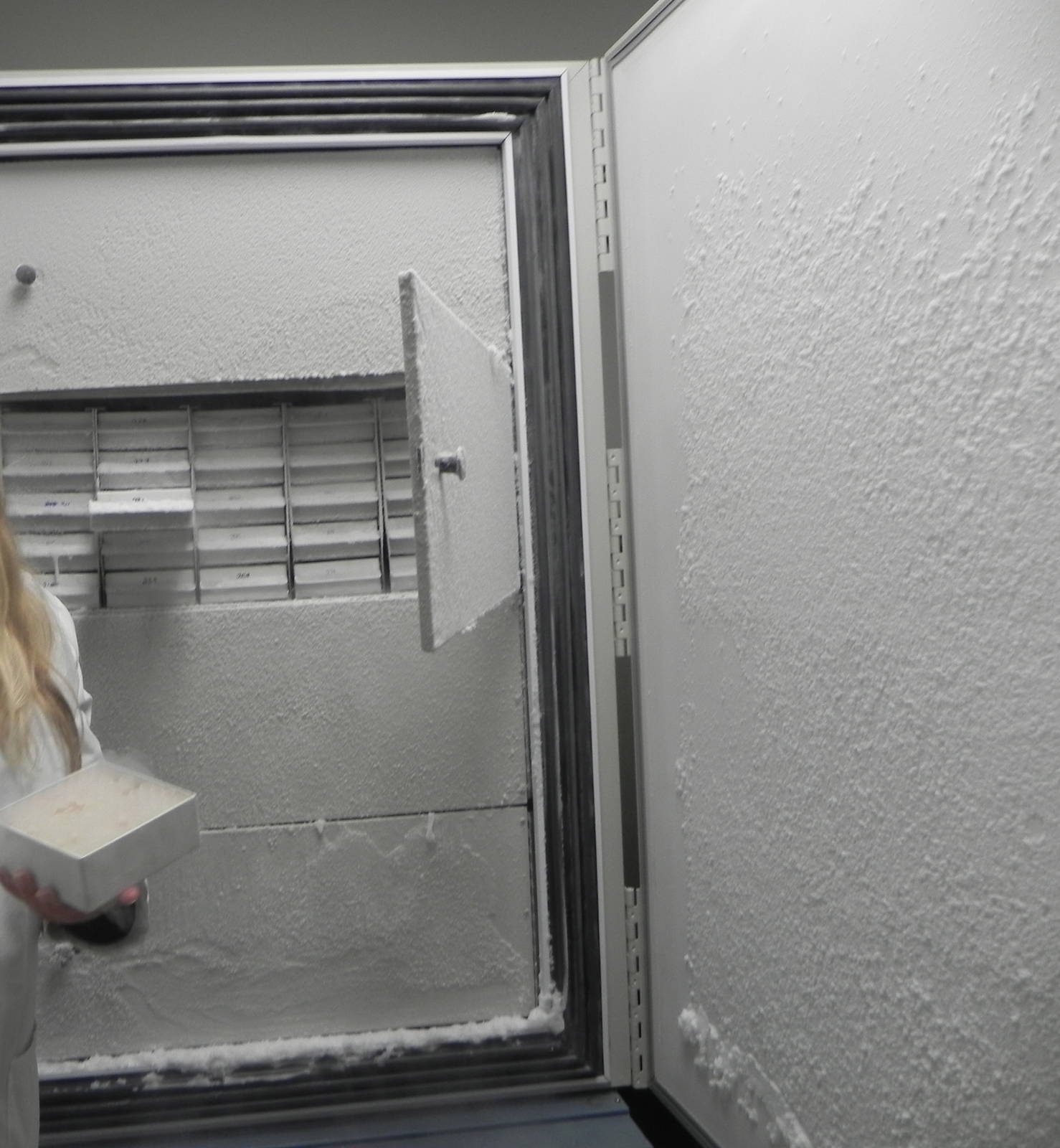 Tour of the Veterinary Medical Center