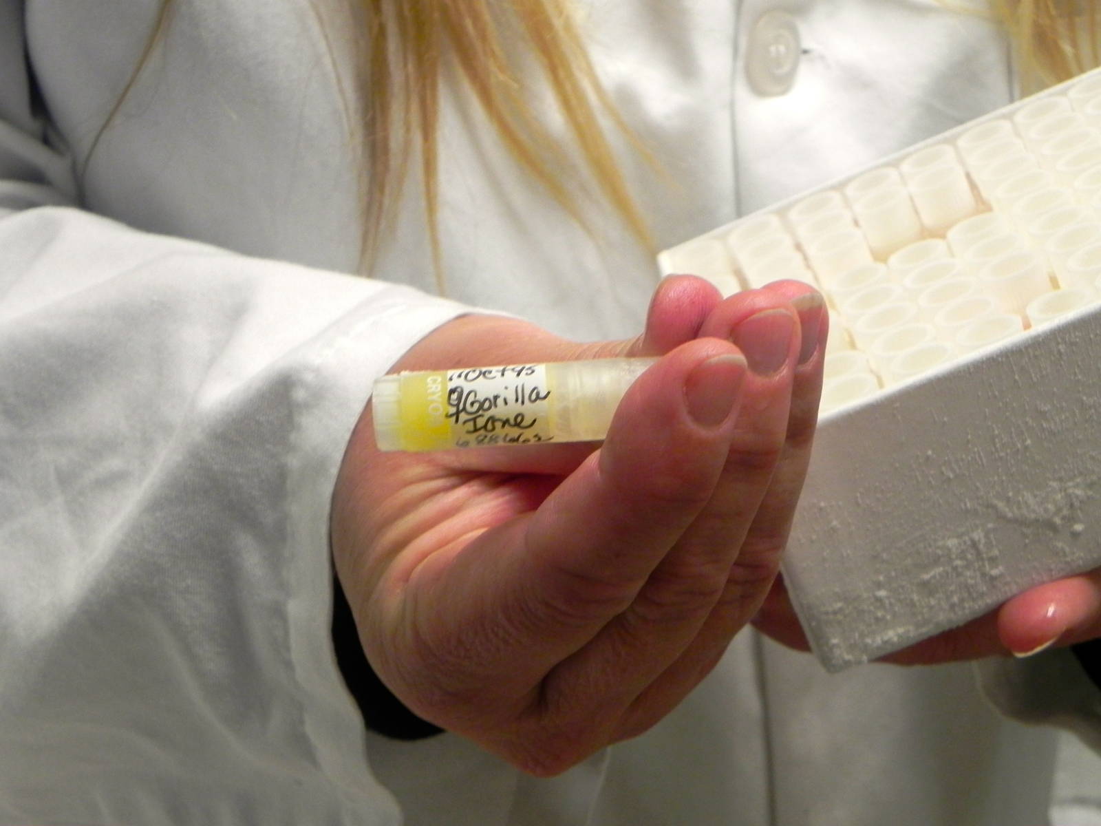 Tour of the Veterinary Medical Center