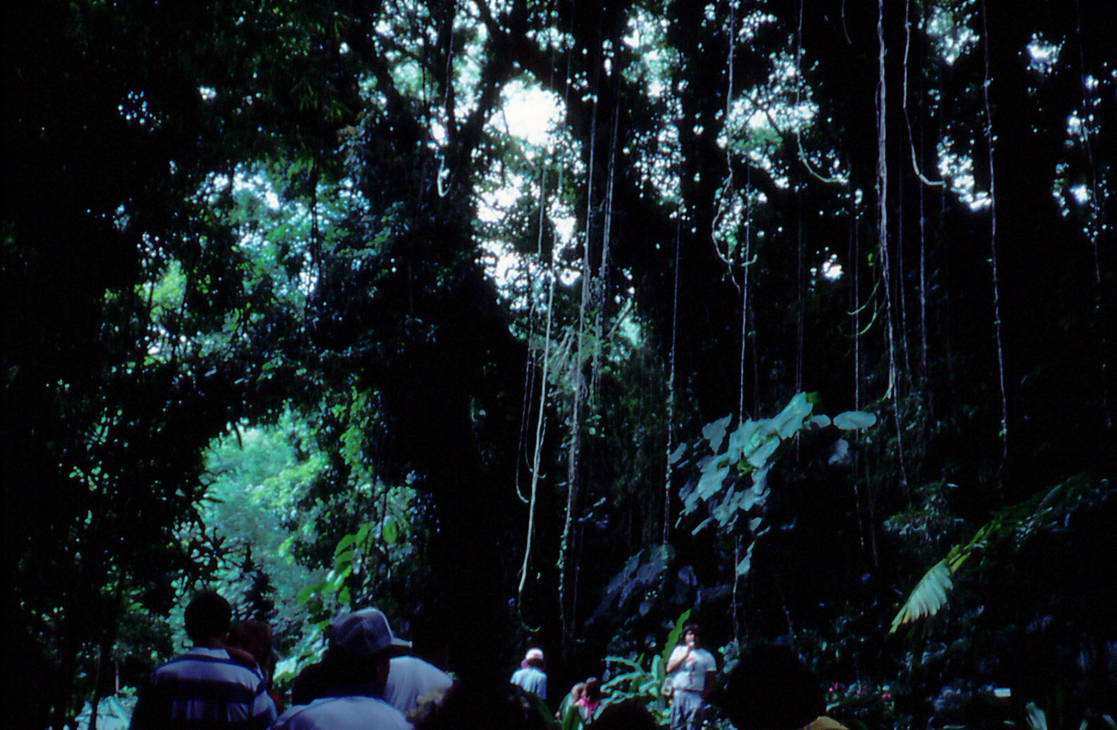 Tour through the jungle - 1987