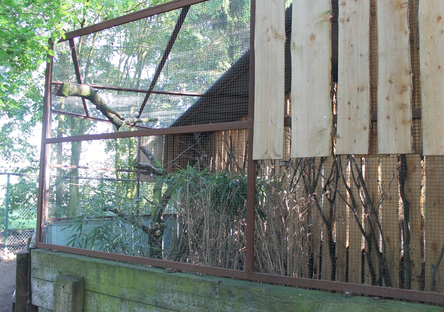 Touraco - Guineafowl - Pheasant aviary